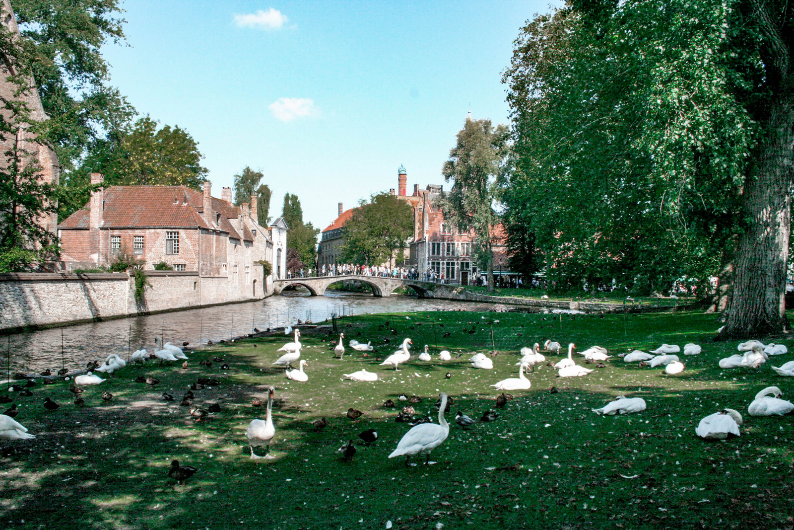 Kasteel Minnewater —— 2018