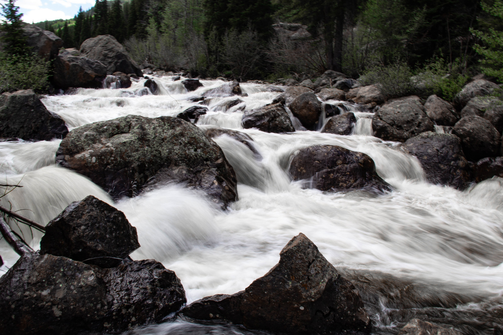 Homestake Creek —— 2020