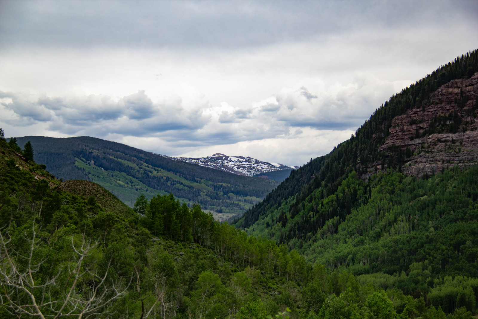 Colorado —— 2020