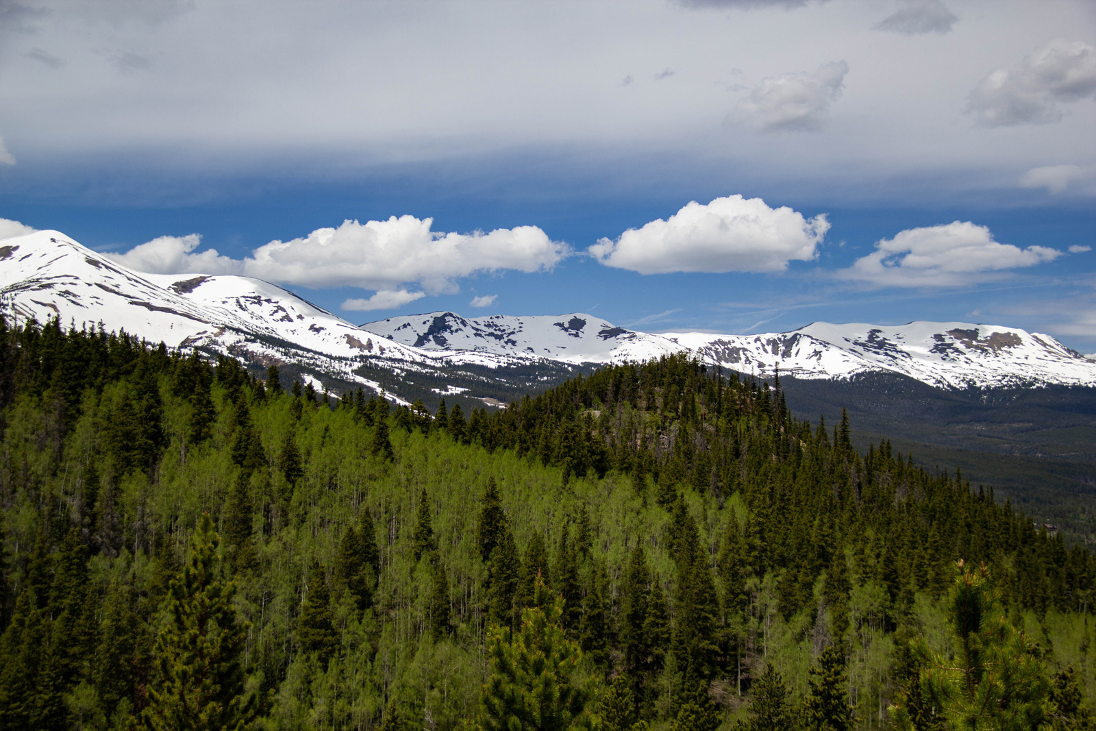 Colorado —— 2020