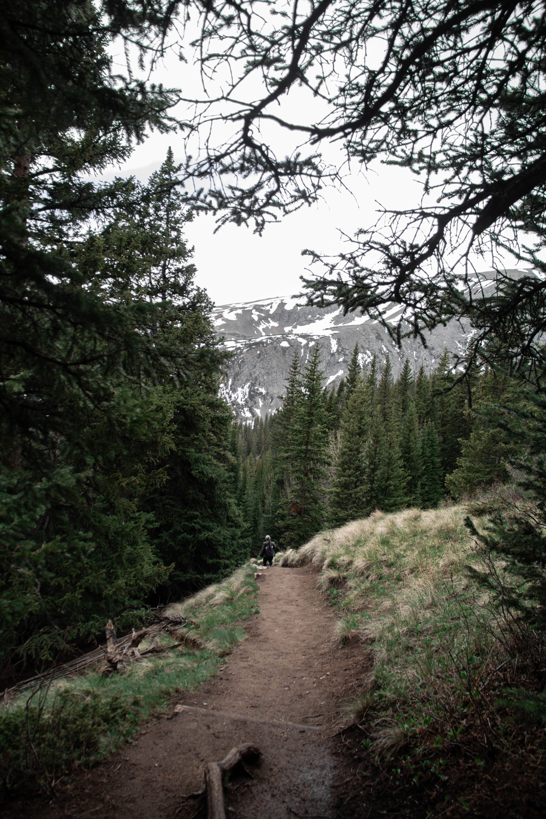 Quandary Trail —— 2020