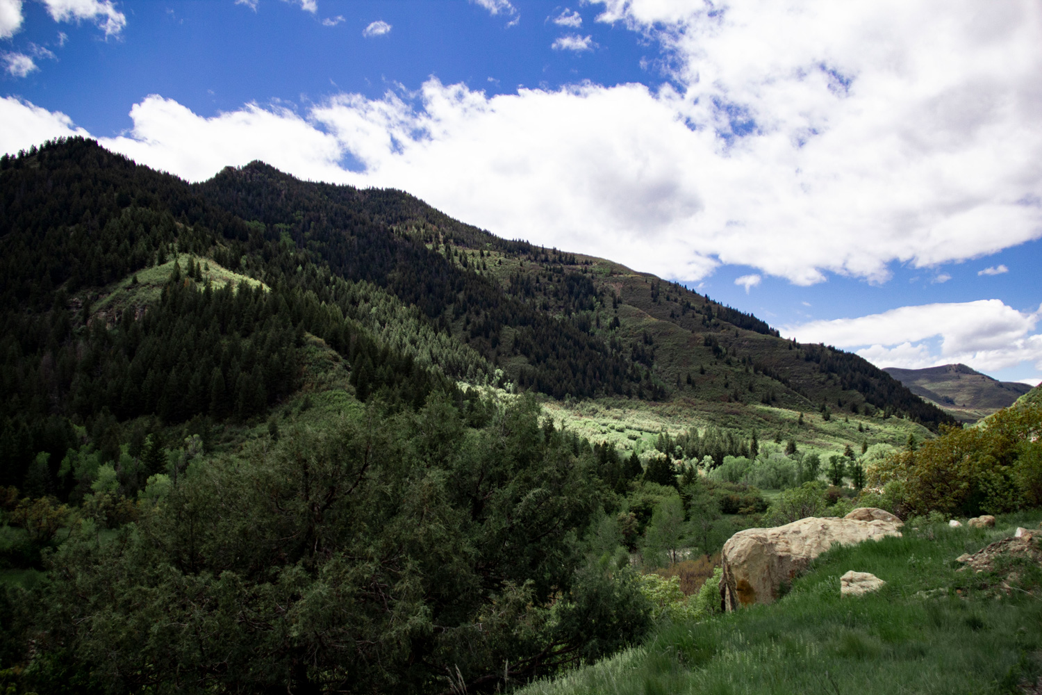 Colorado —— 2019