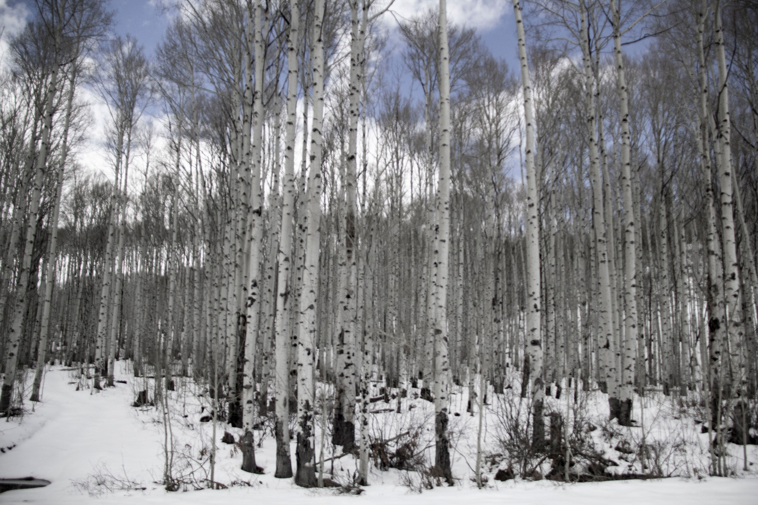 Colorado —— 2019