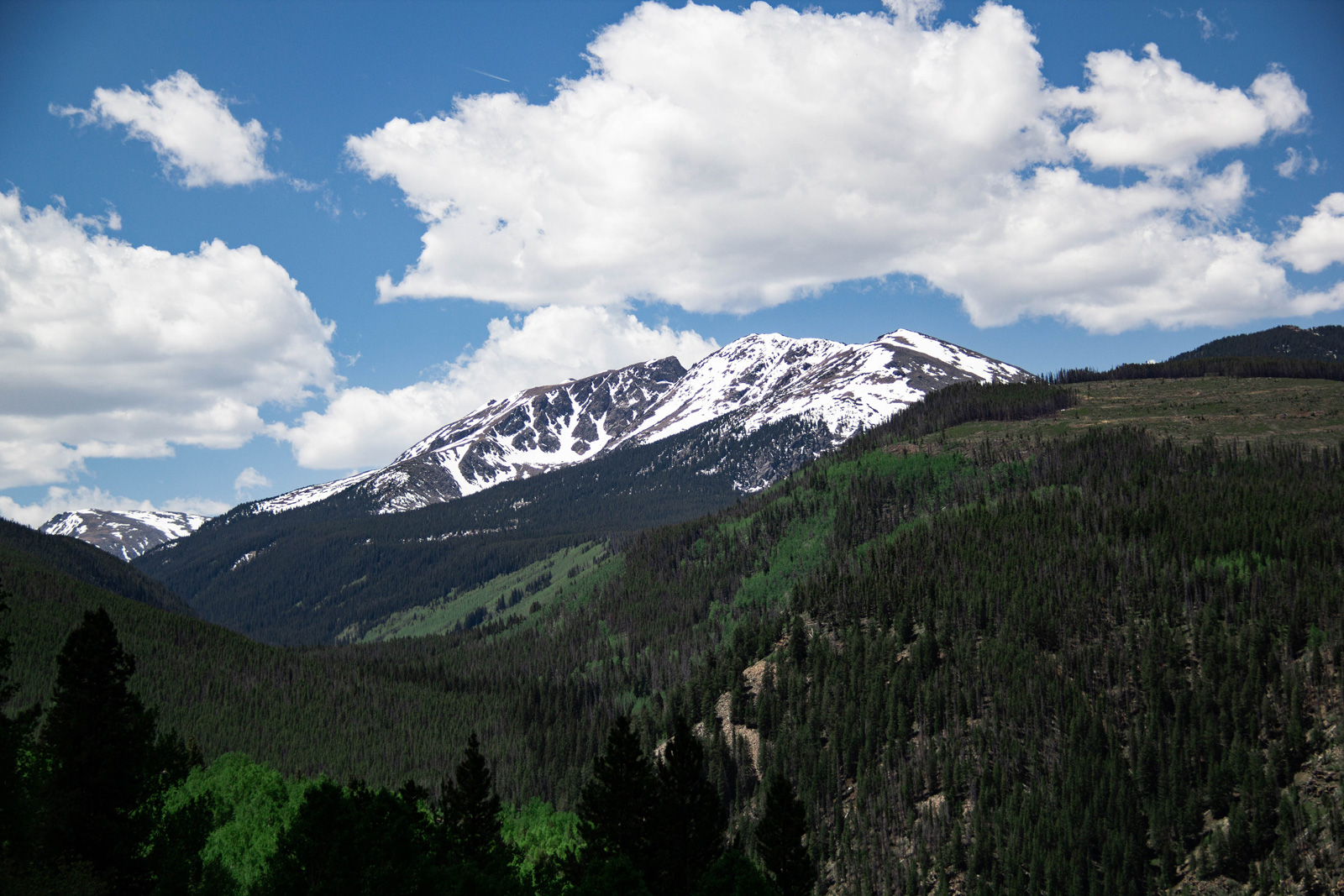 Colorado —— 2020