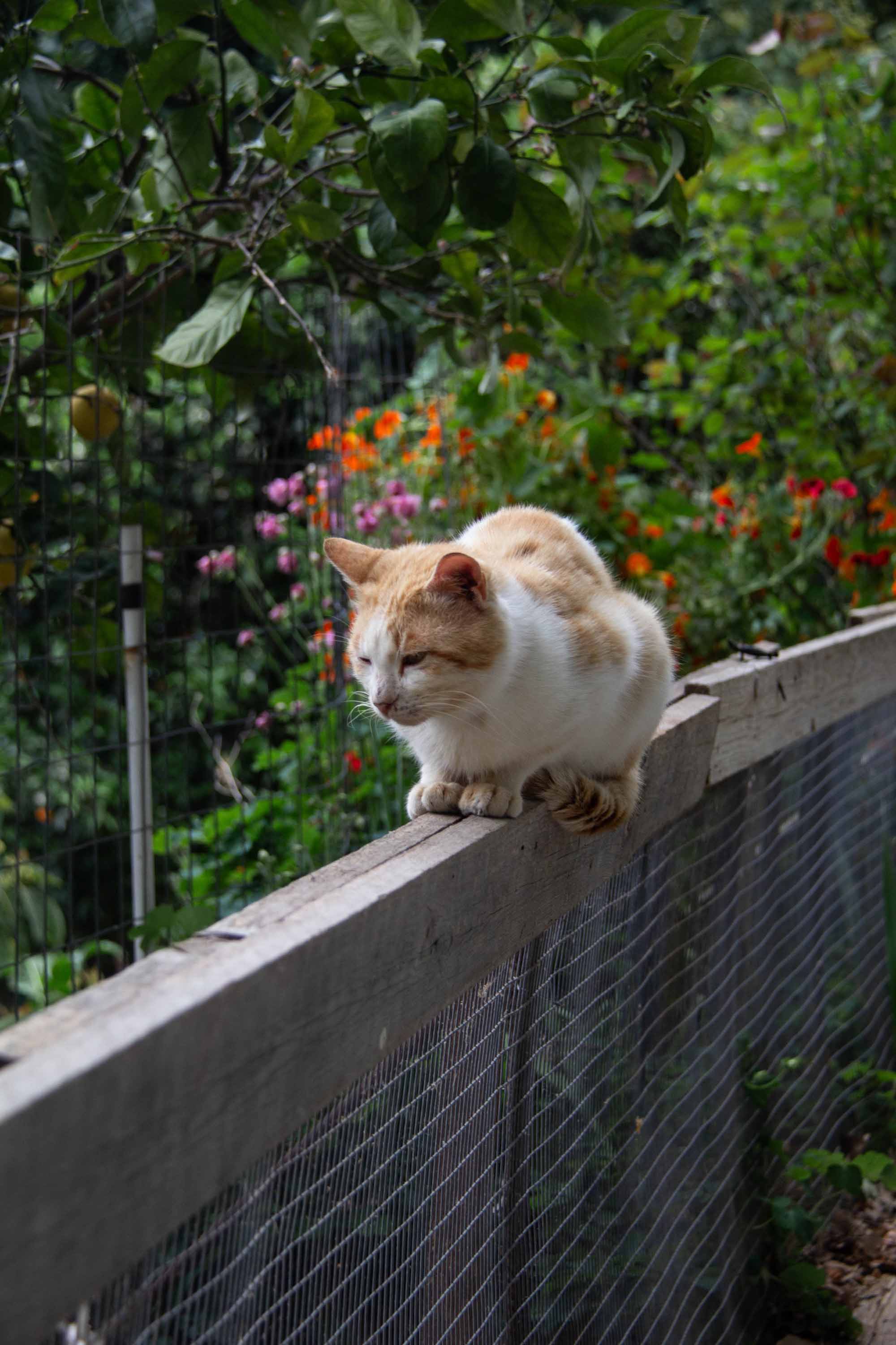 Another angle —— 2024