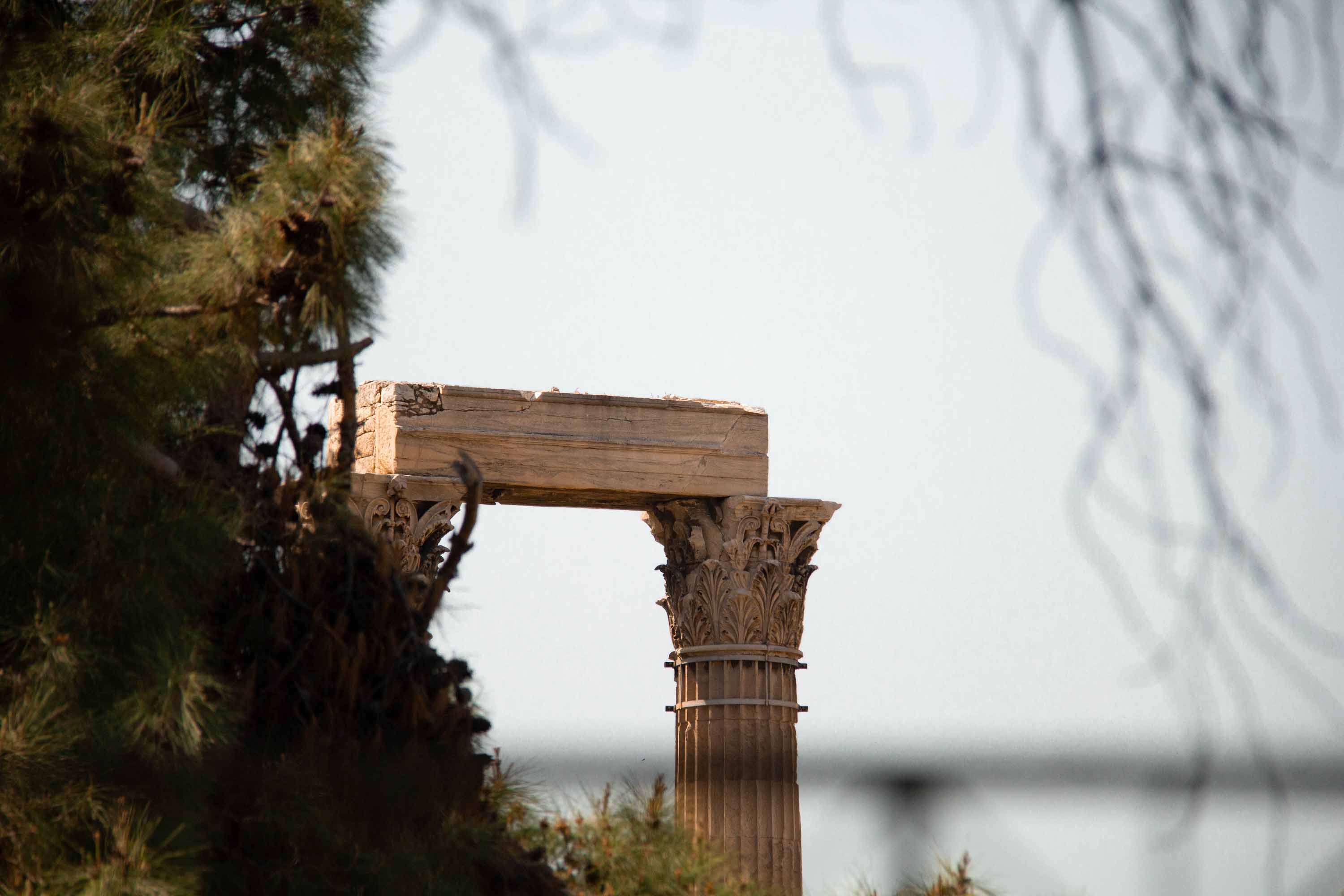 Athens National Garden —— 2024