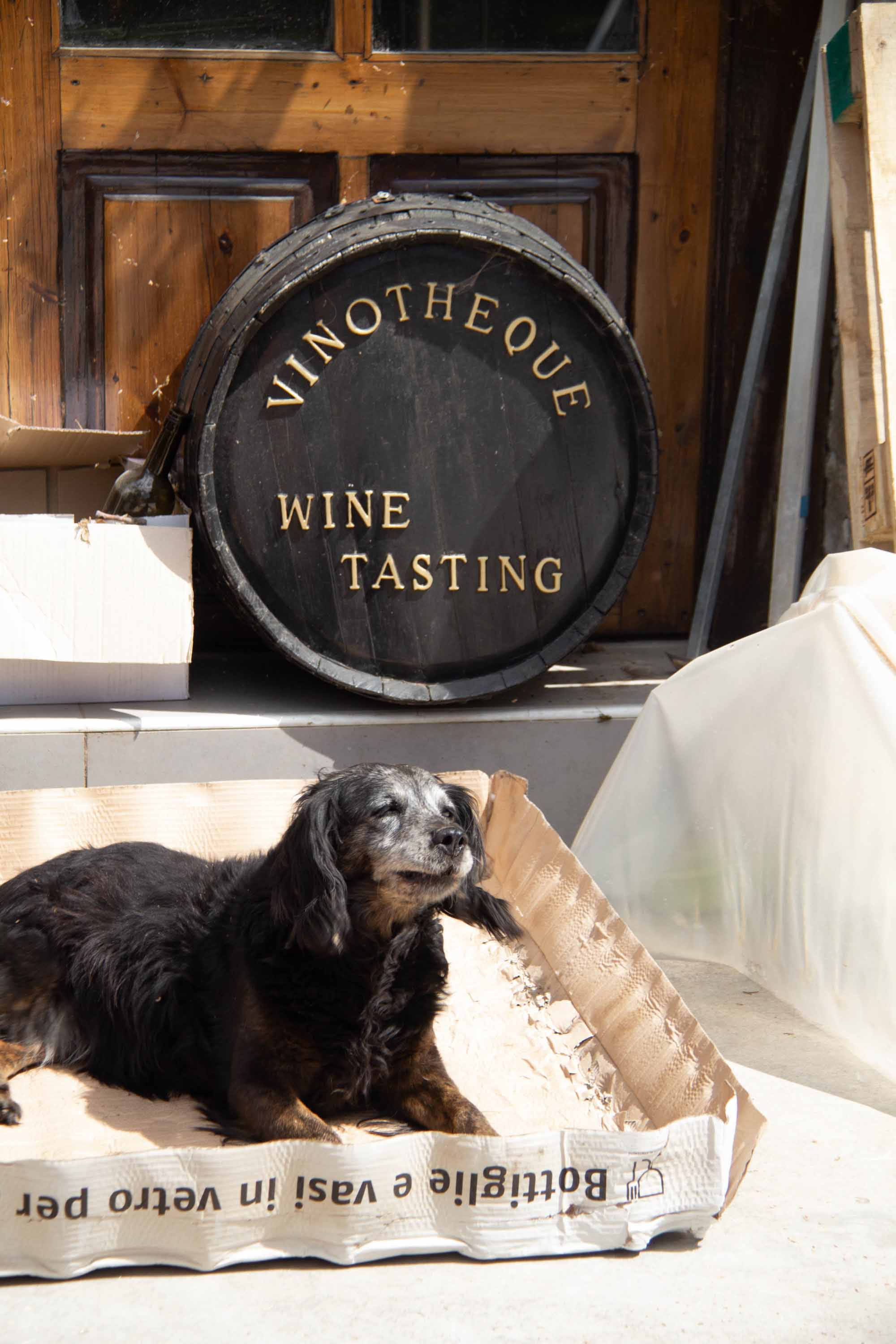 Dourakis Winery —— 2024