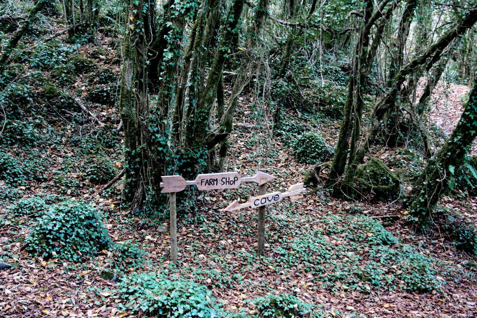 Decisions —— 2018