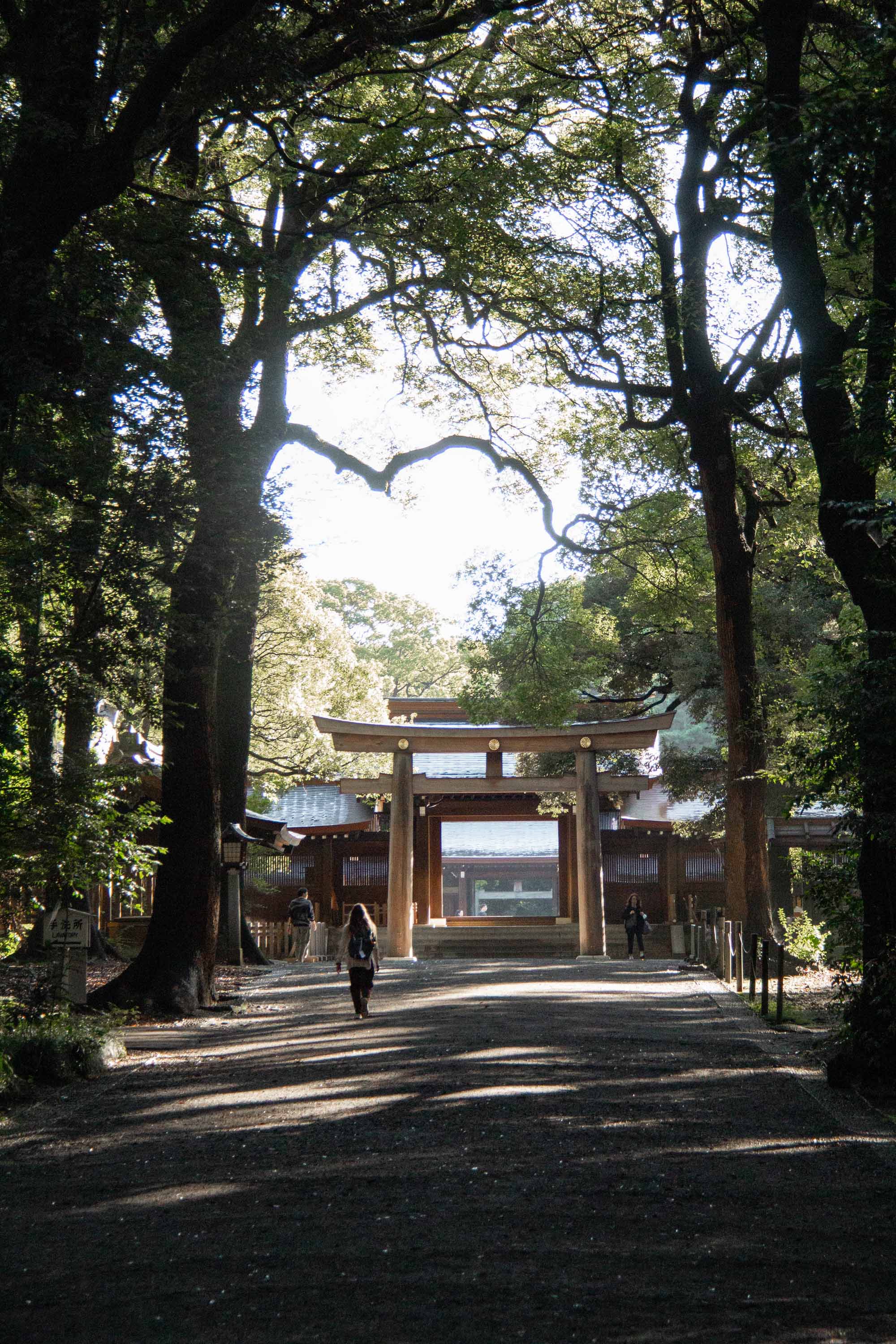 Meiji Jingu Shrine, Tokyo —— 2023