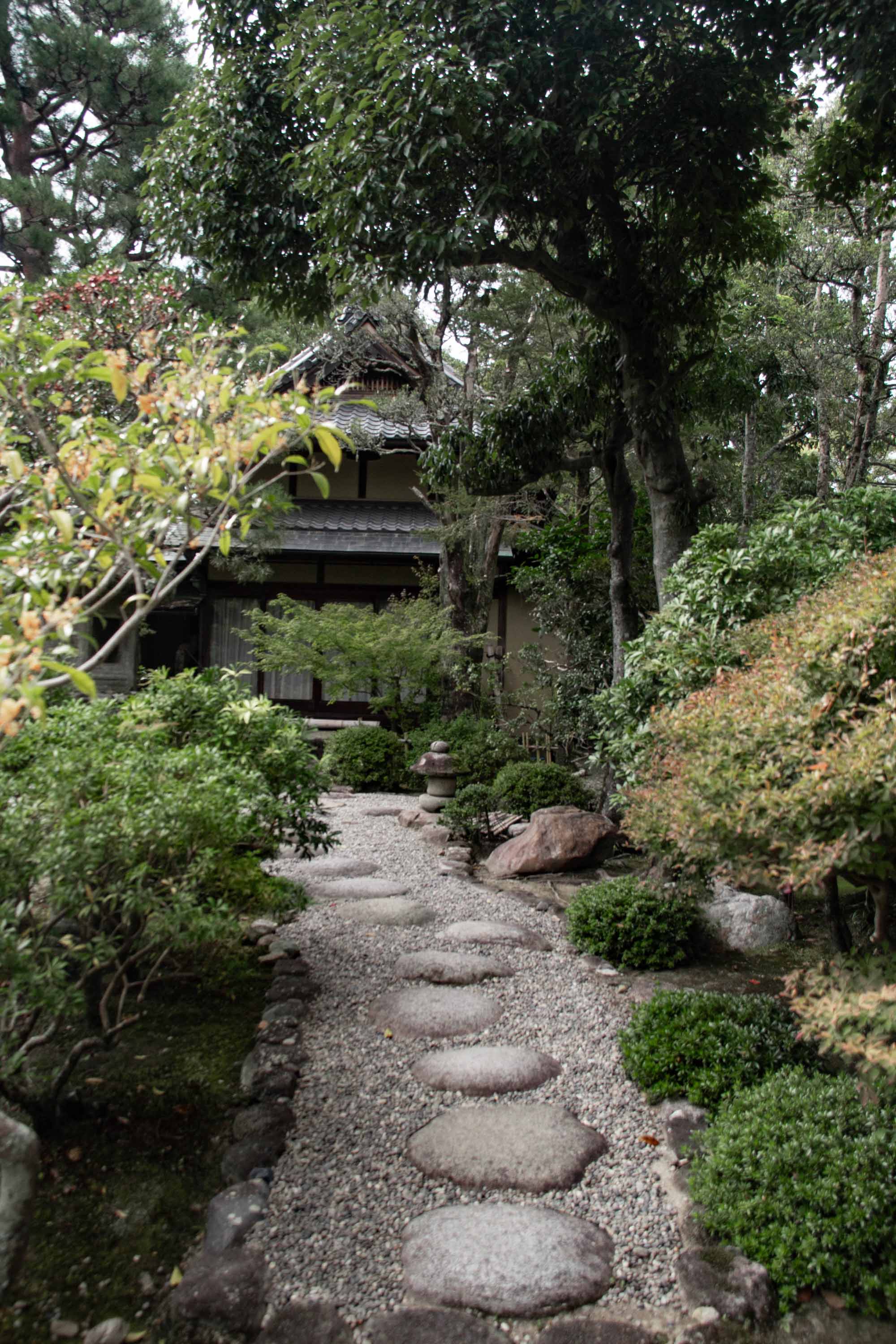 Description —— 2023