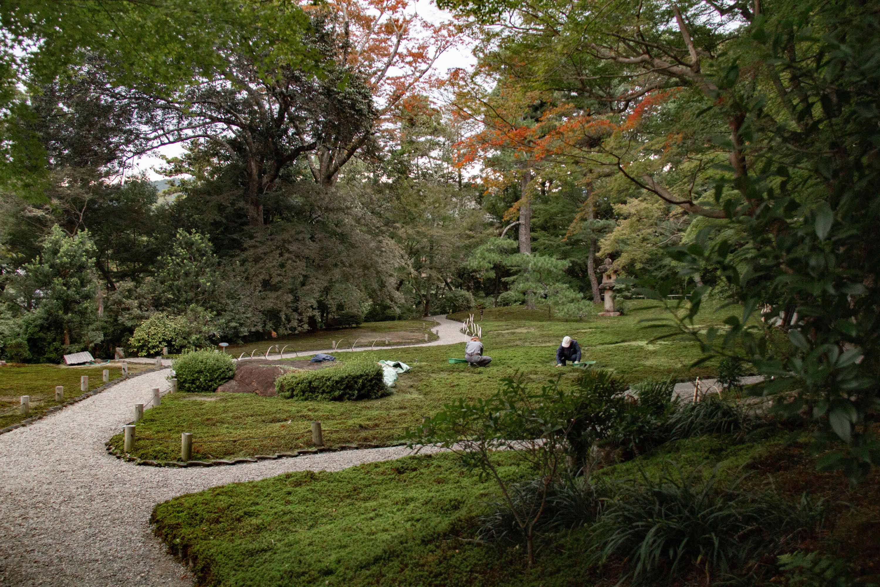 Description —— 2023