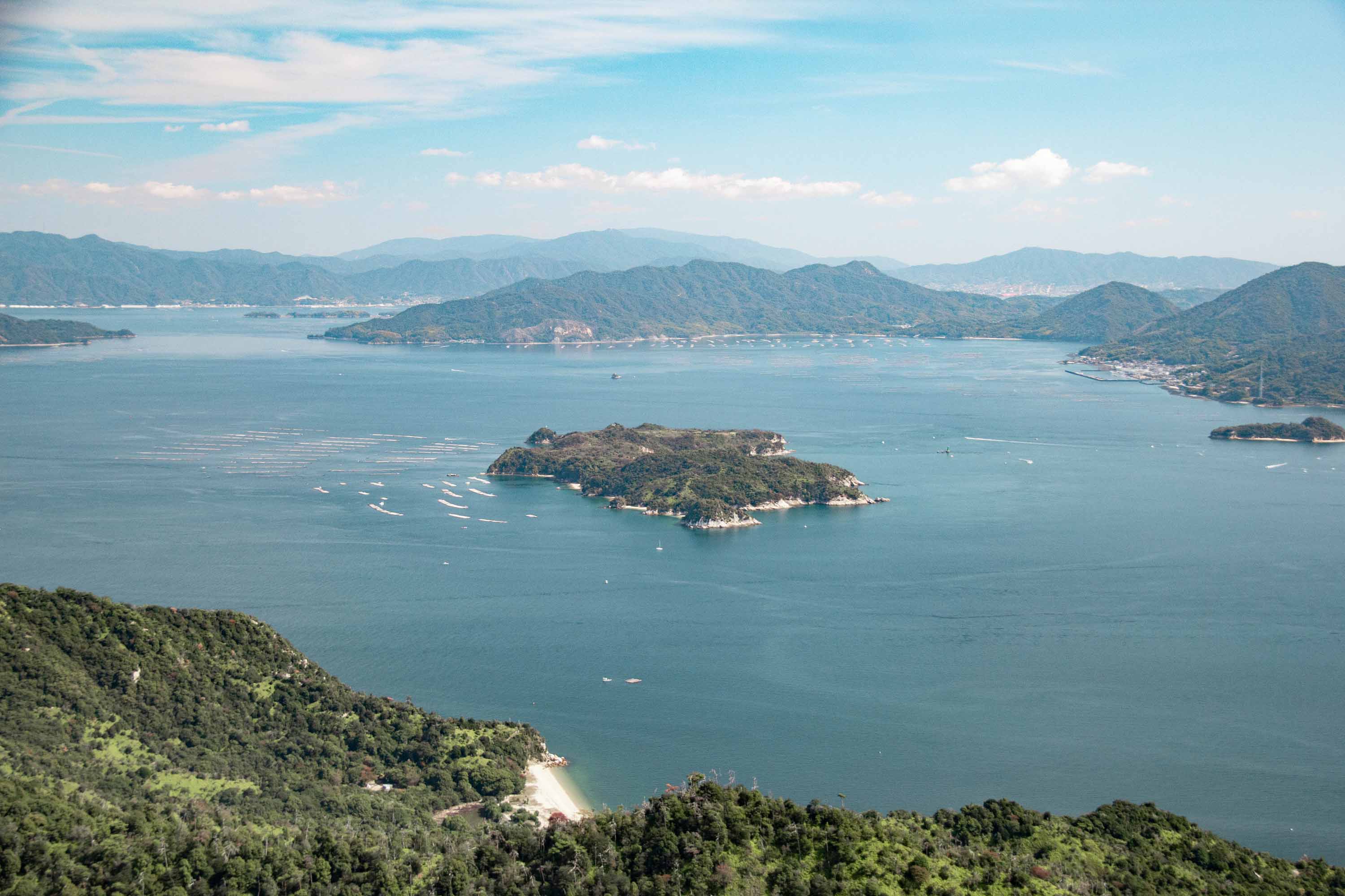 Description —— 2023