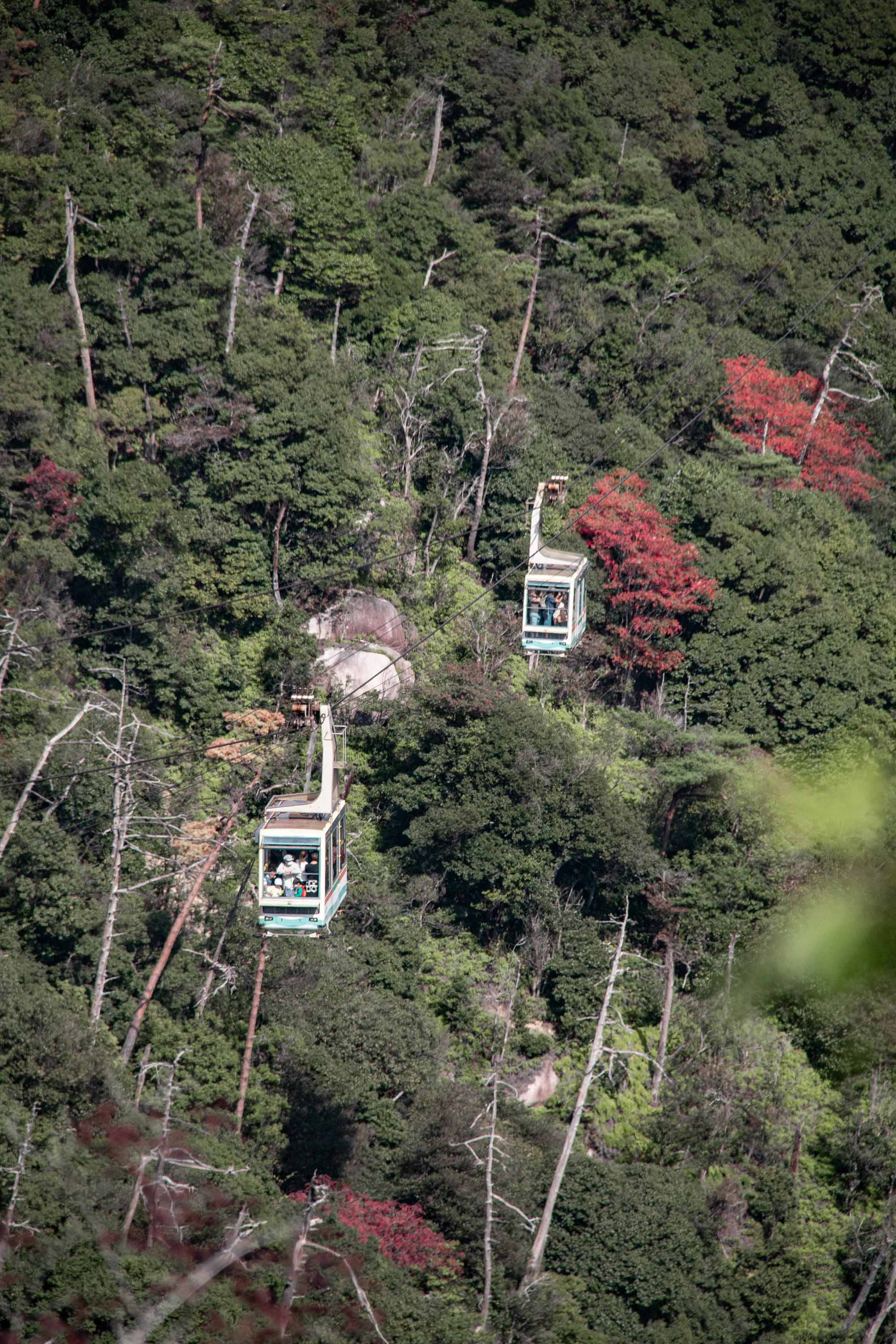 Description —— 2023