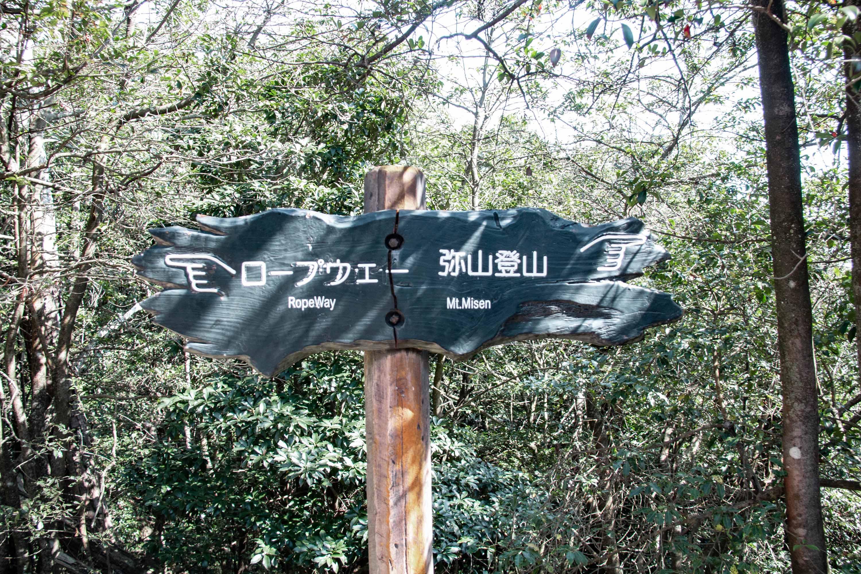 Description —— 2023