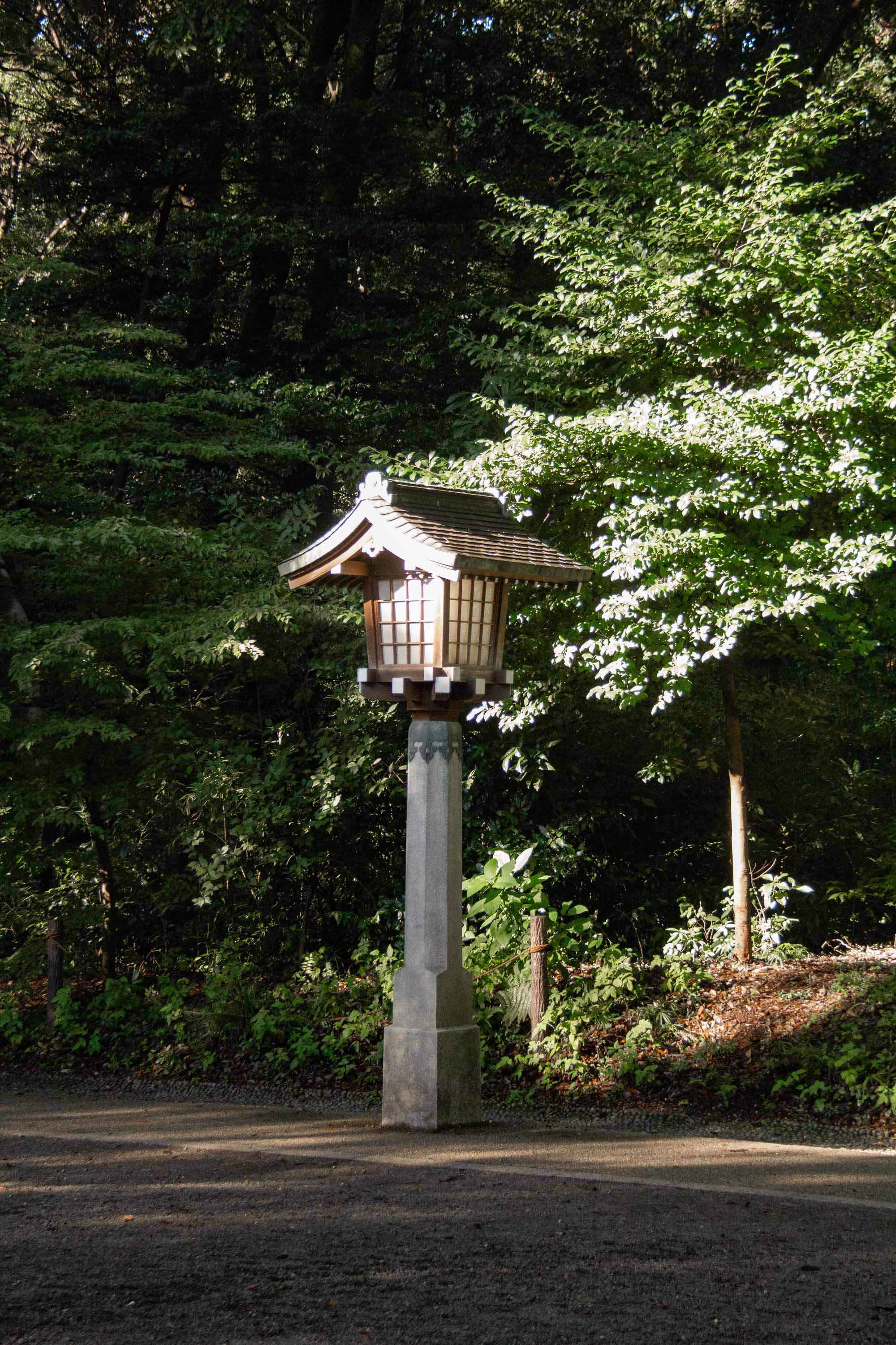 Meiji Jingu Shrine, Tokyo —— 2023
