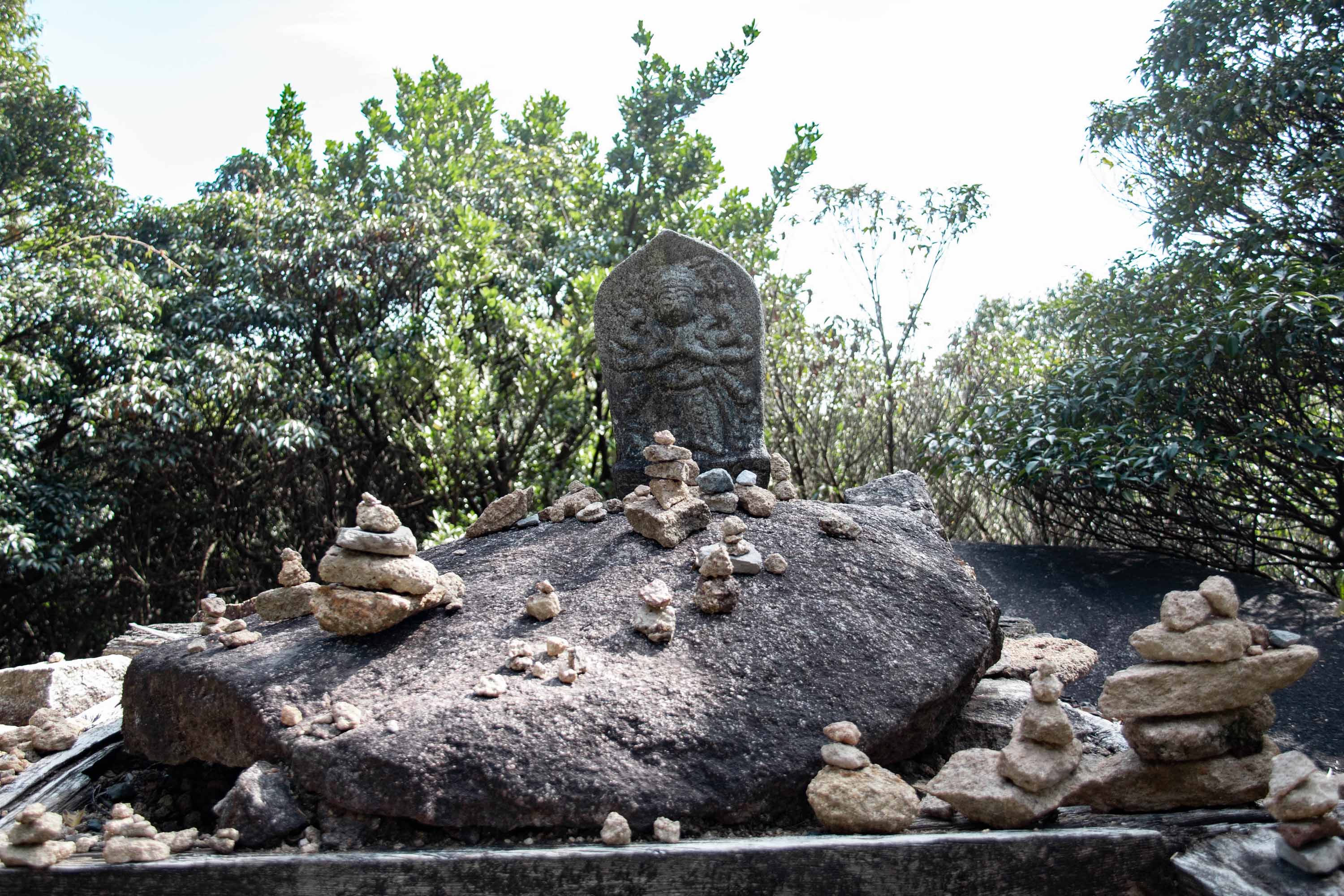 Description —— 2023