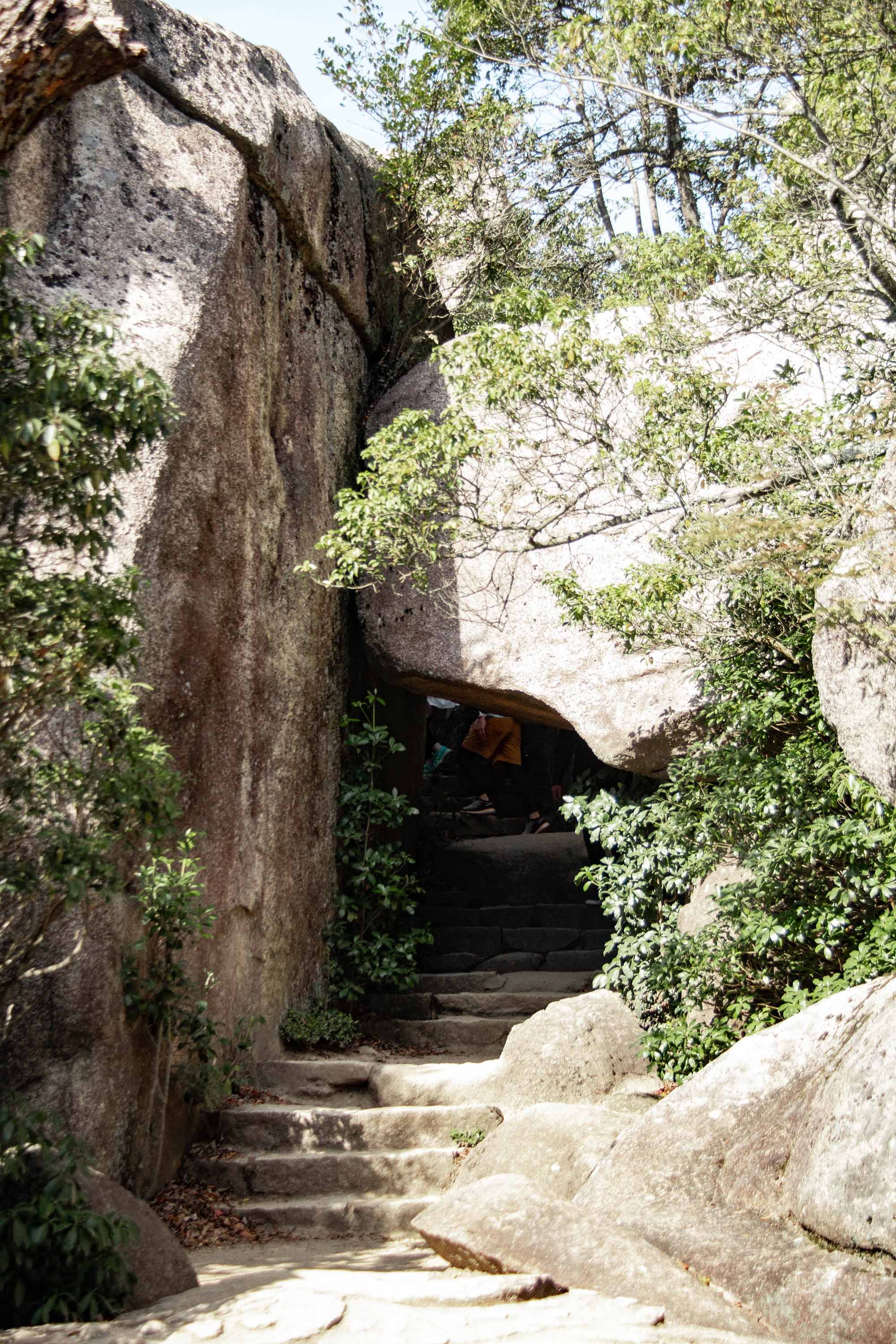 Description —— 2023