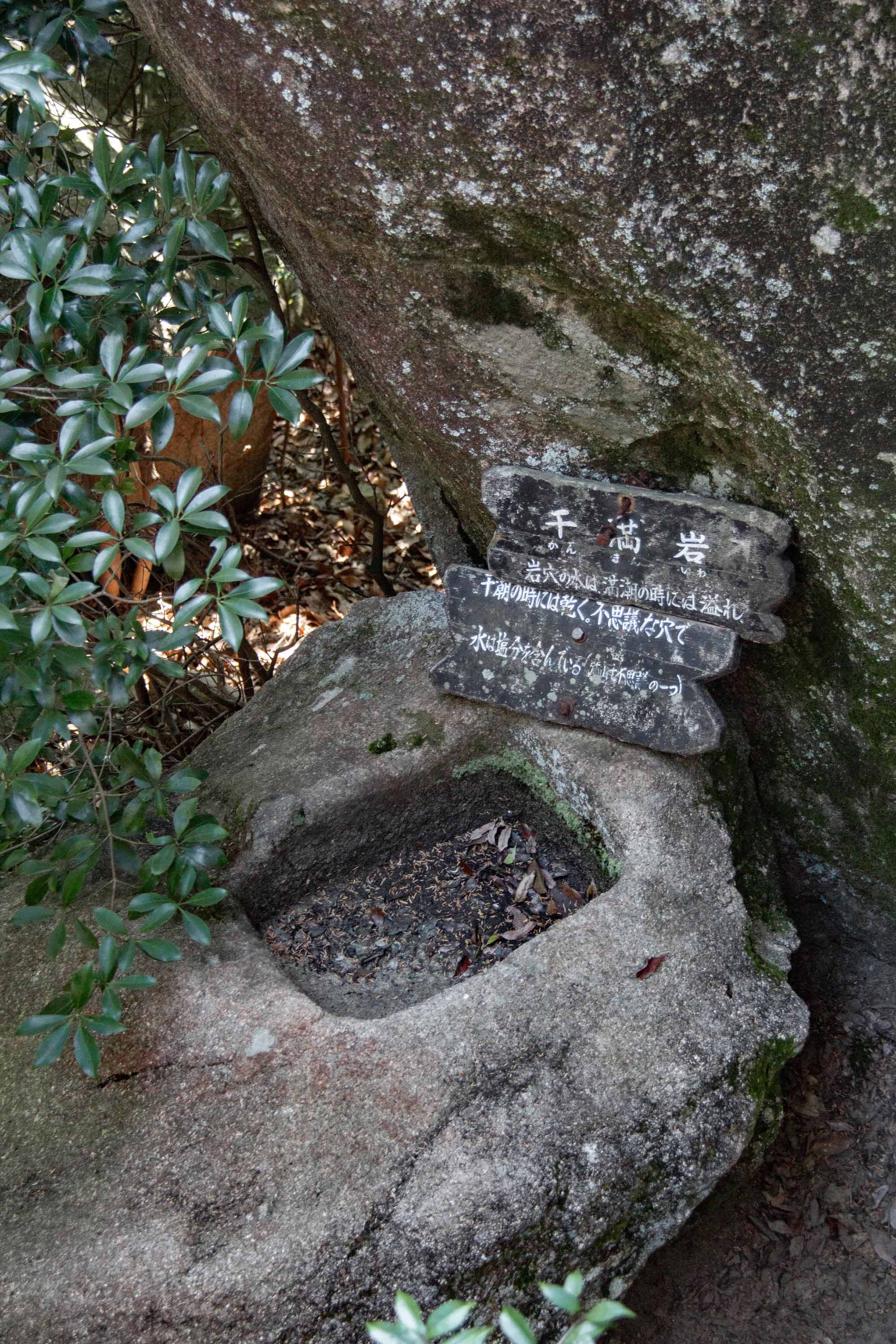 Description —— 2023