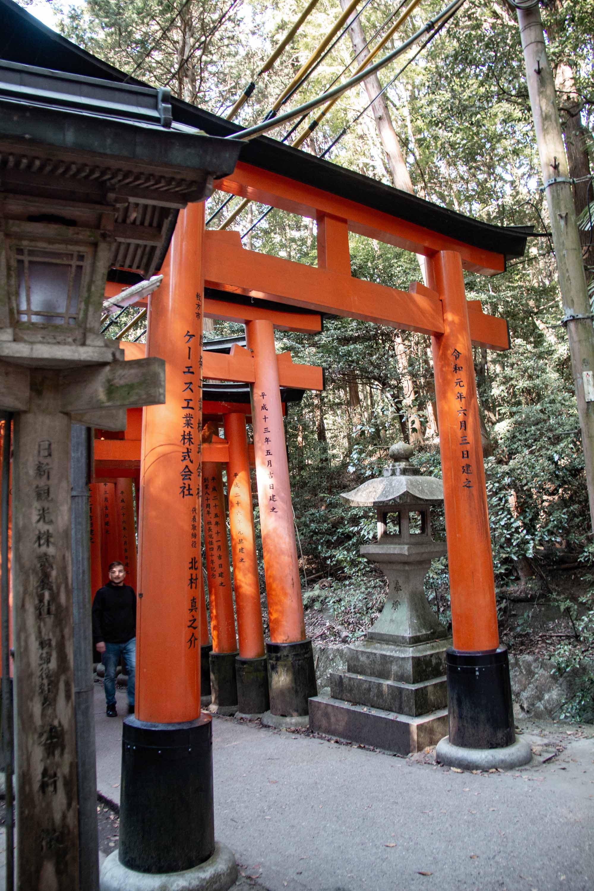 Description —— 2023