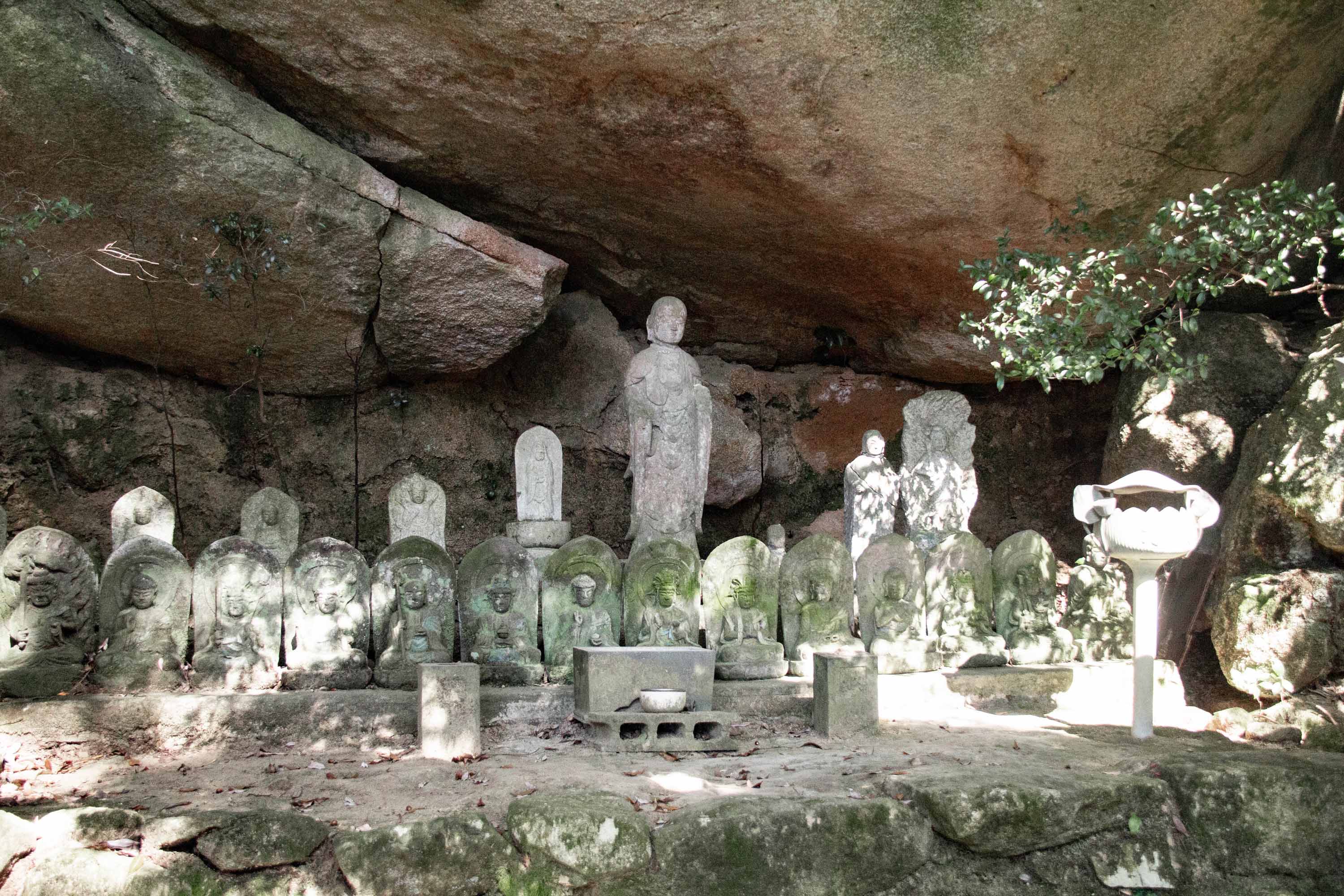 Description —— 2023