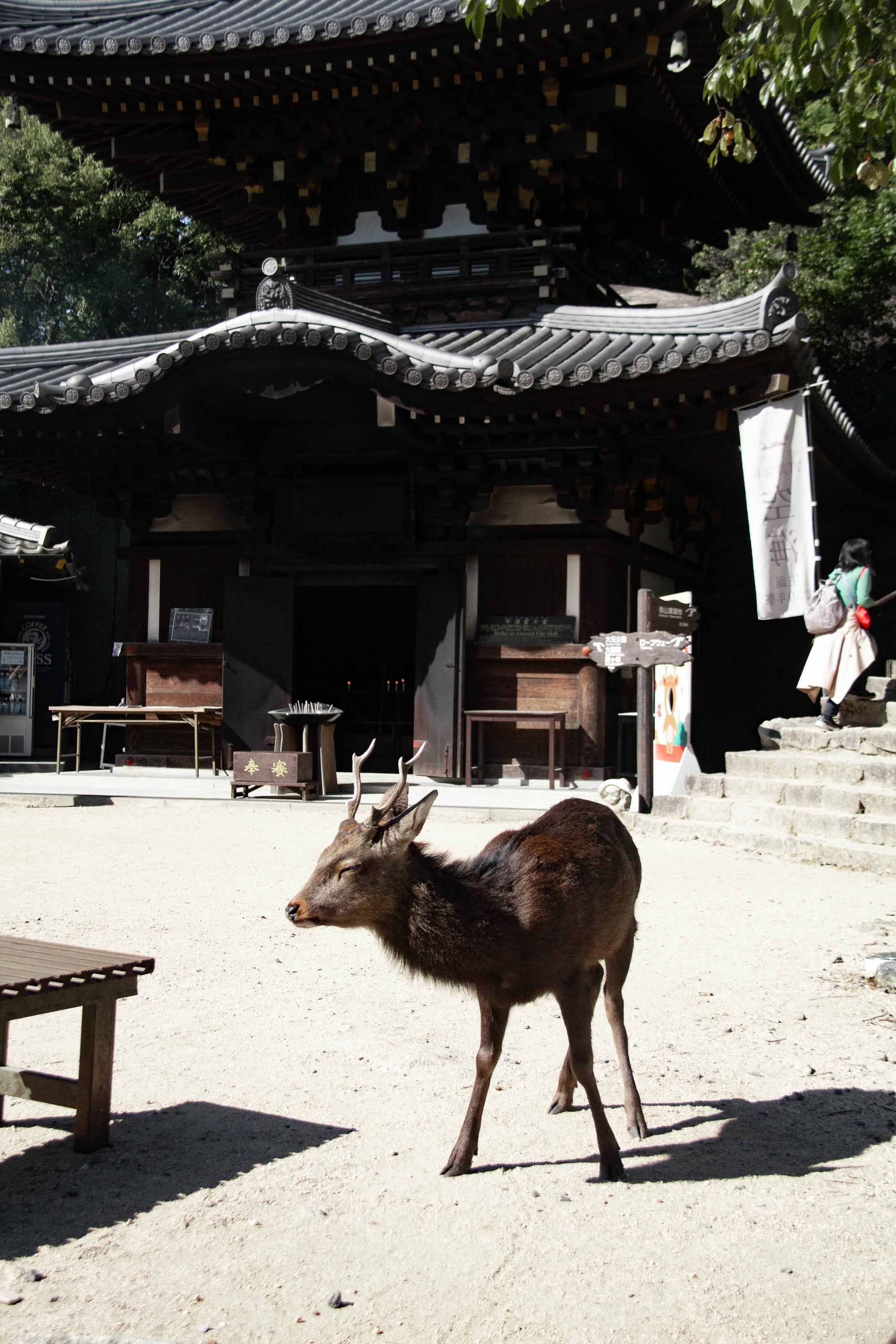 Description —— 2023