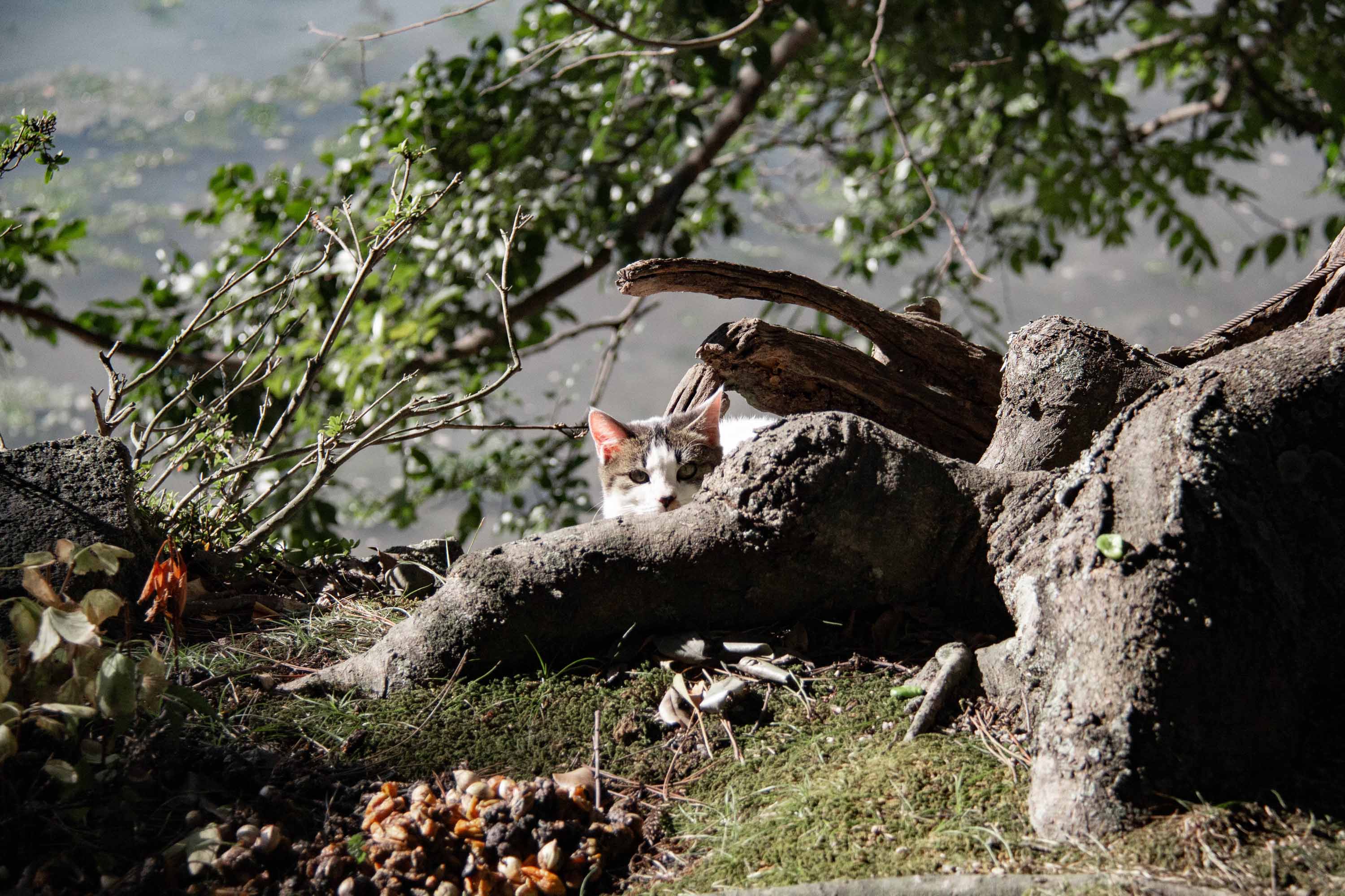 Description —— 2023