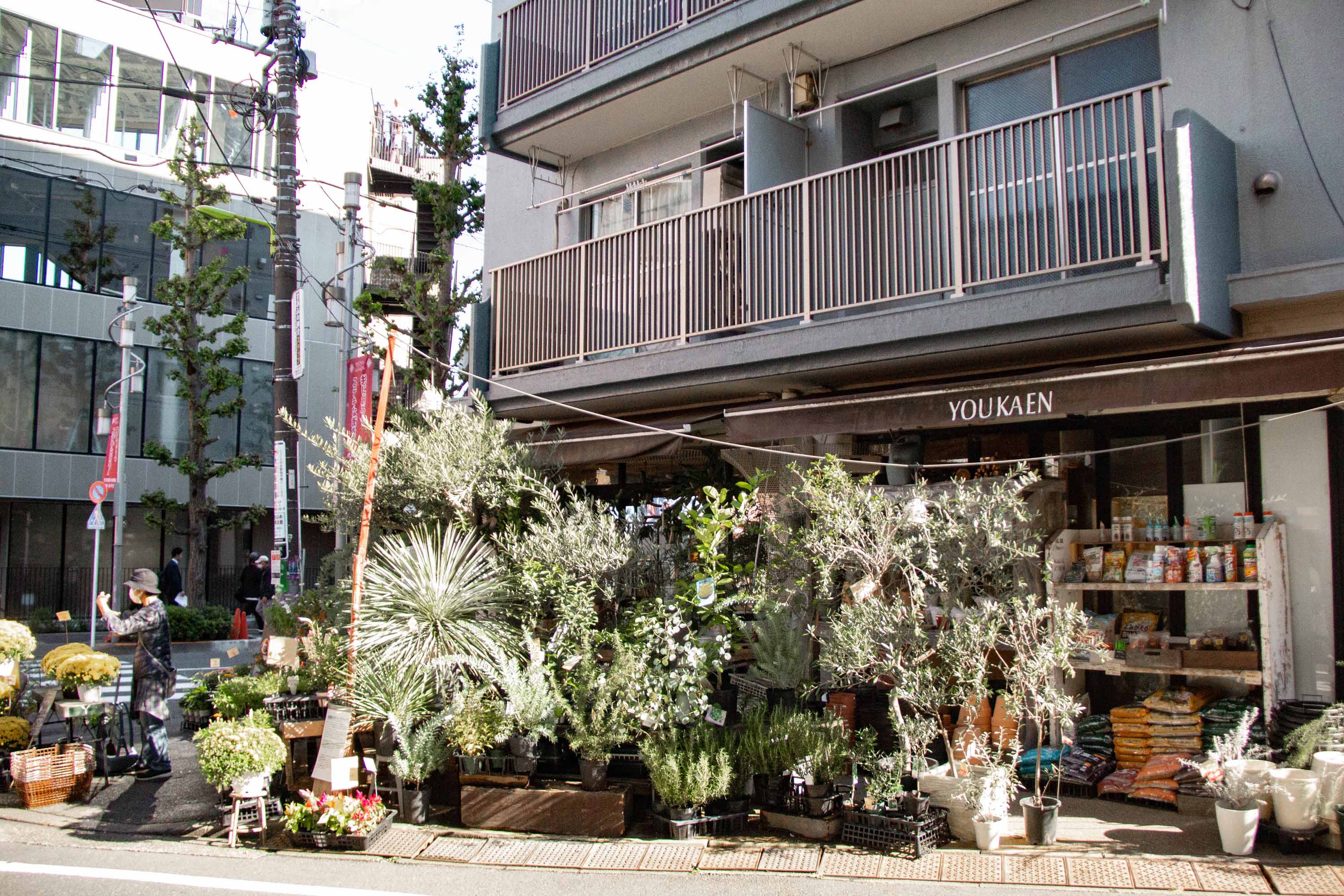 Shimokitazawa —— 2023