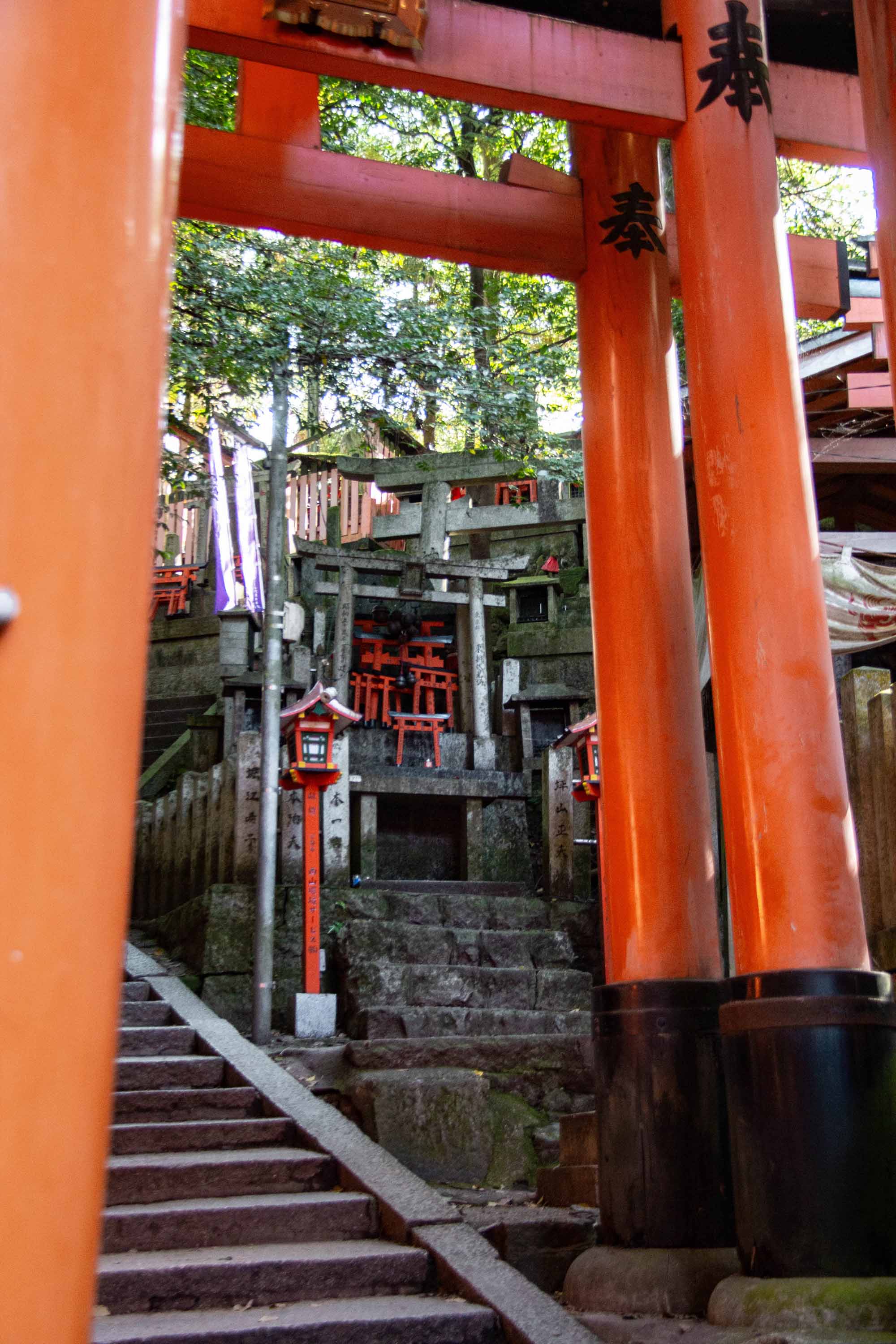 Description —— 2023