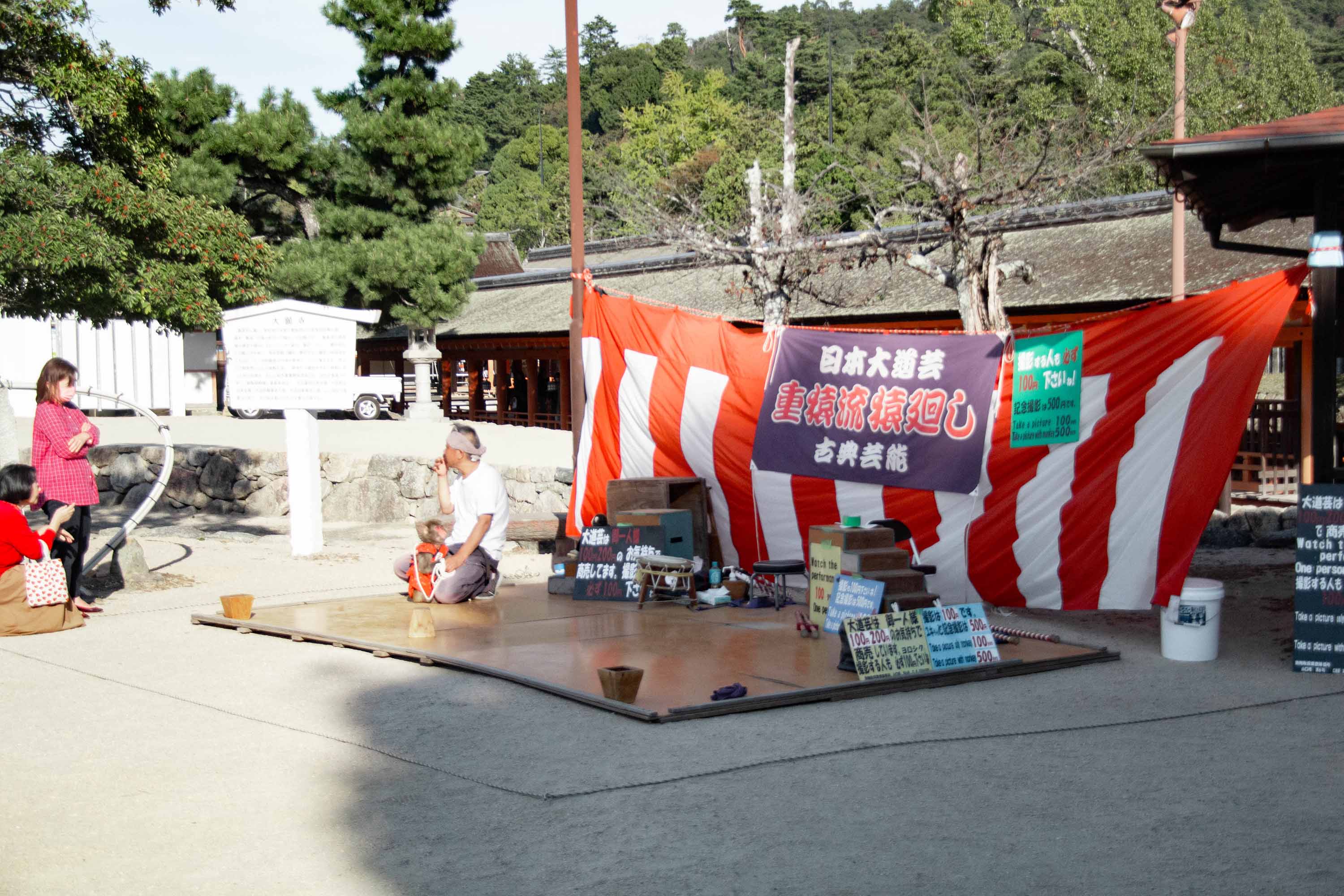 Description —— 2023