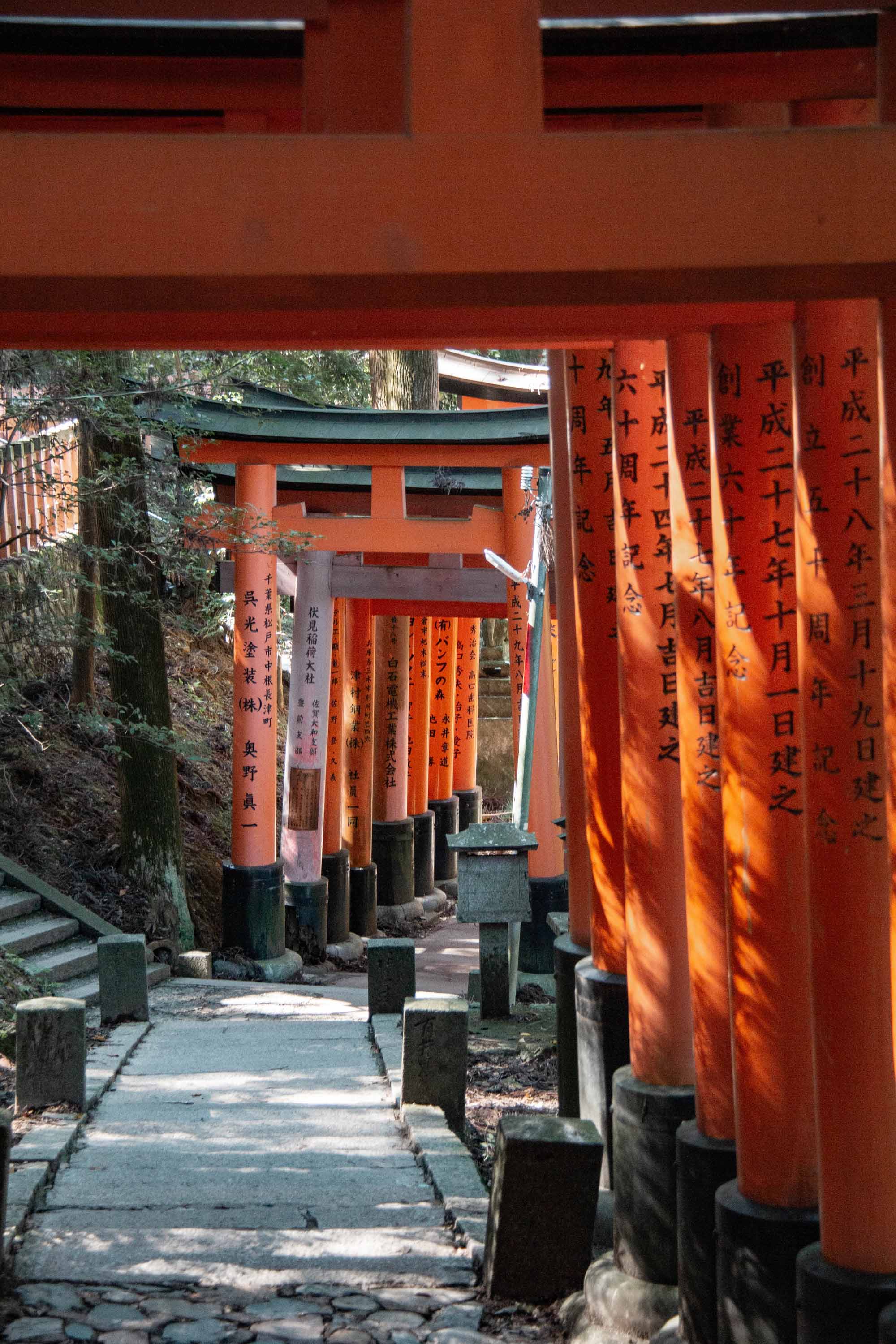 Description —— 2023