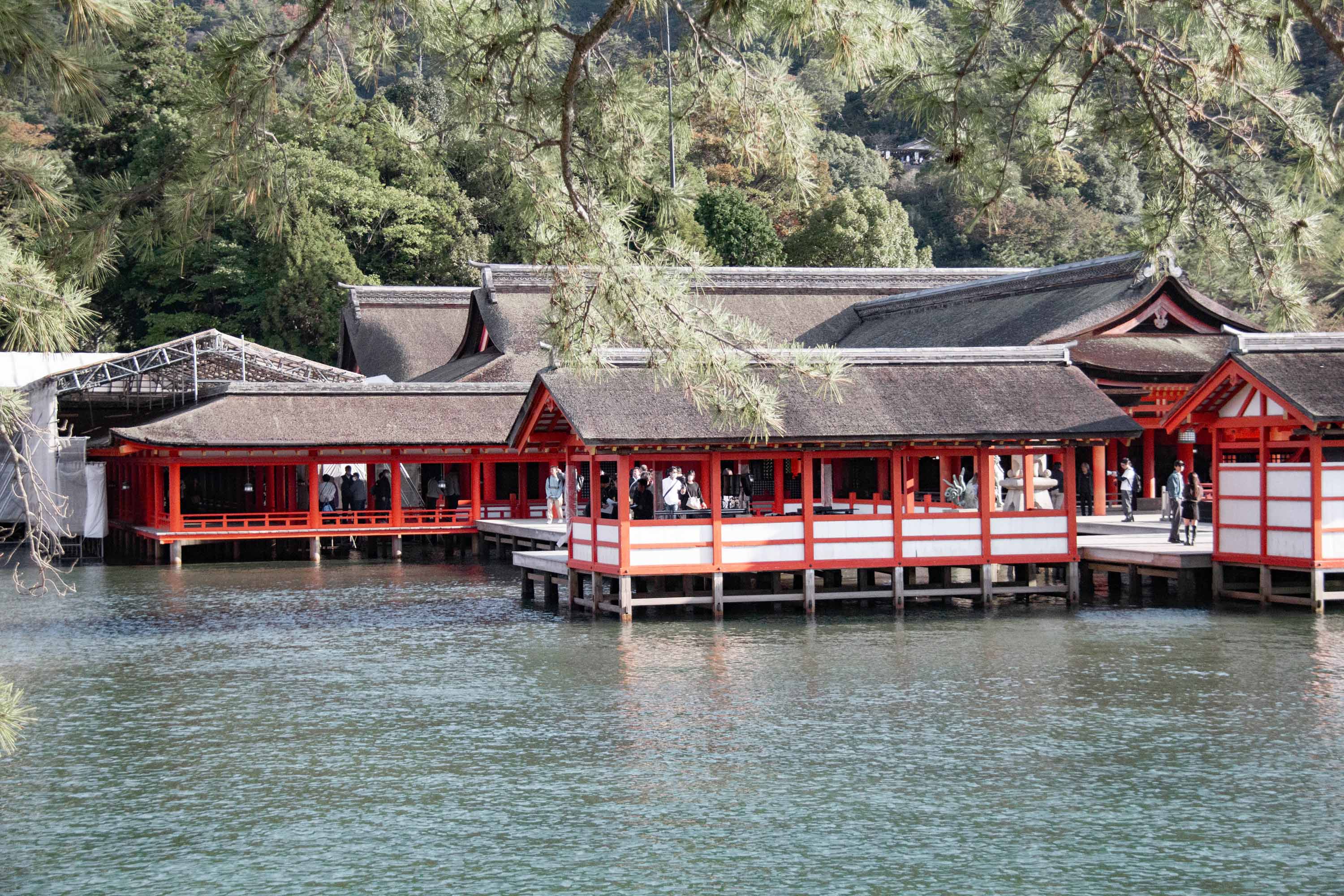 Description —— 2023