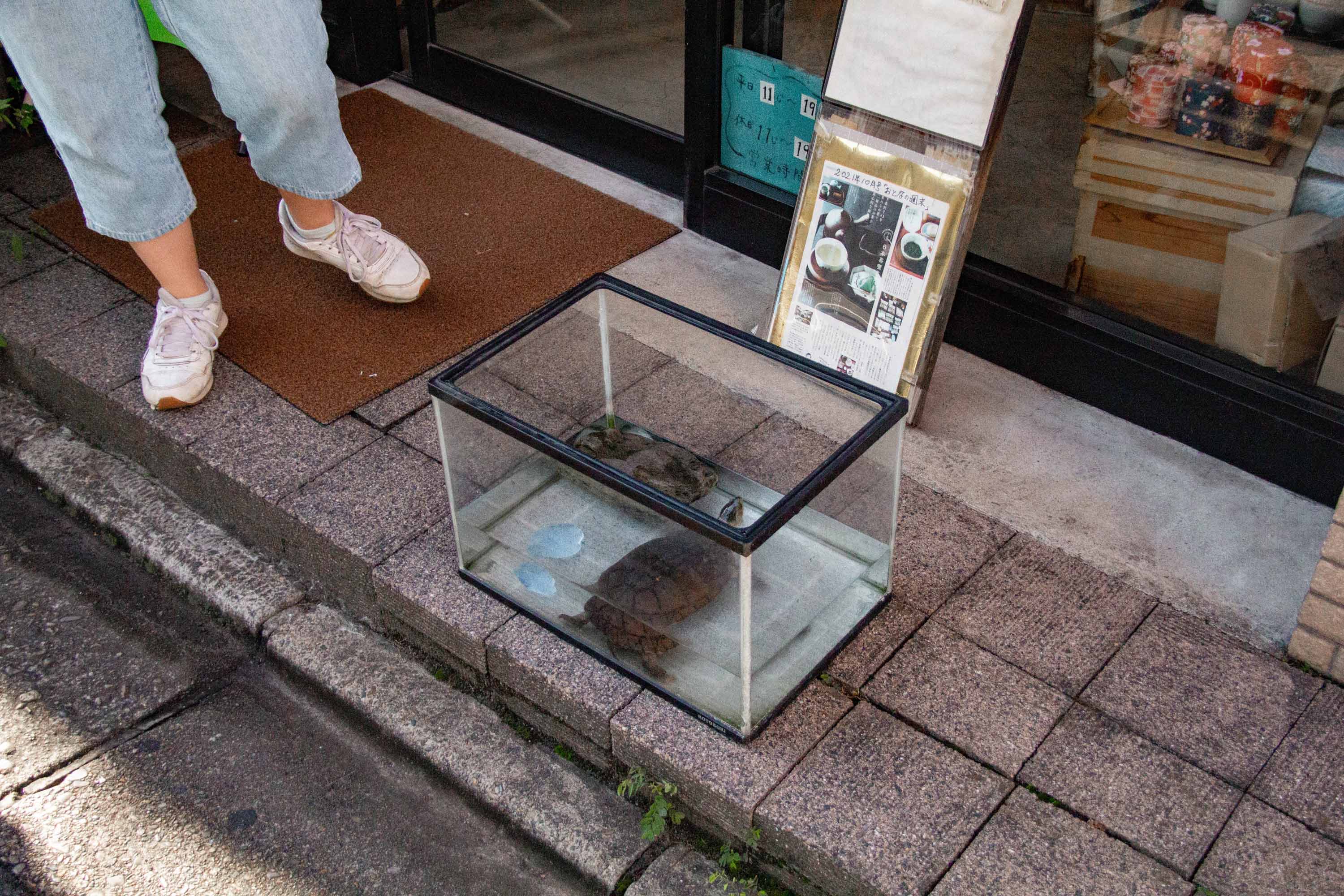 Shimokitazawa —— 2023