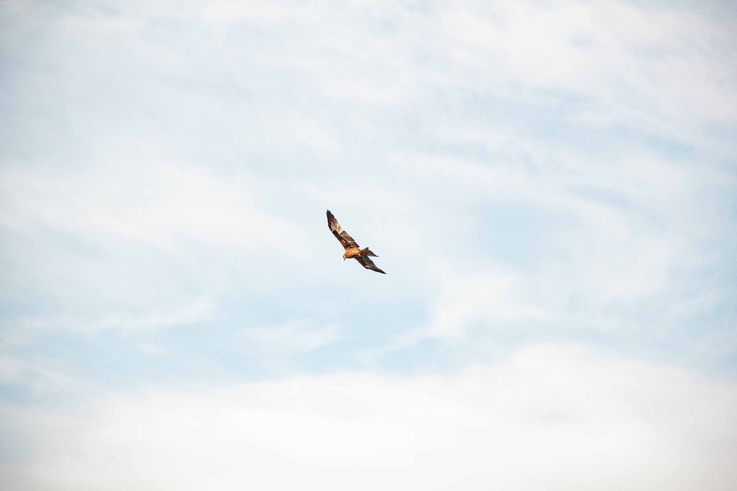 Description —— 2023