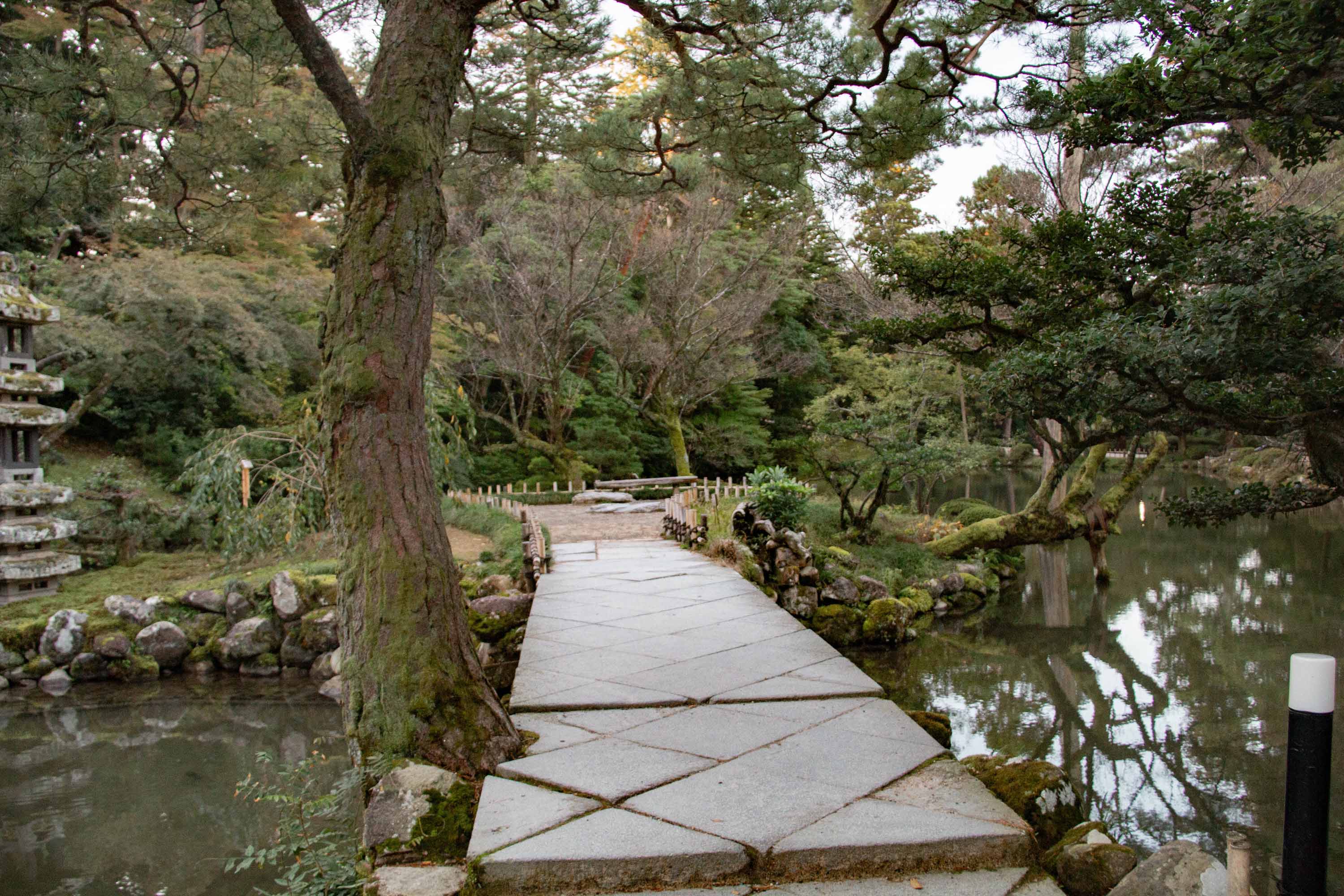 Description —— 2023