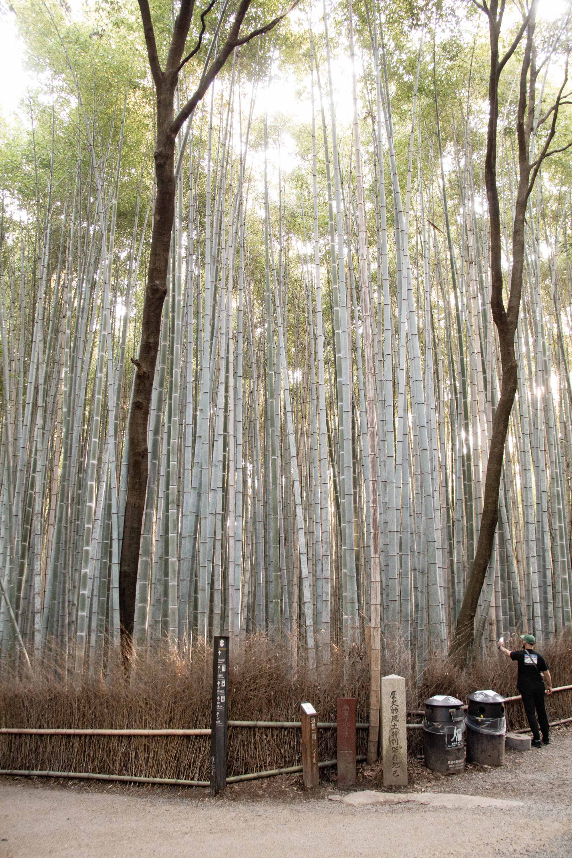 Description —— 2023