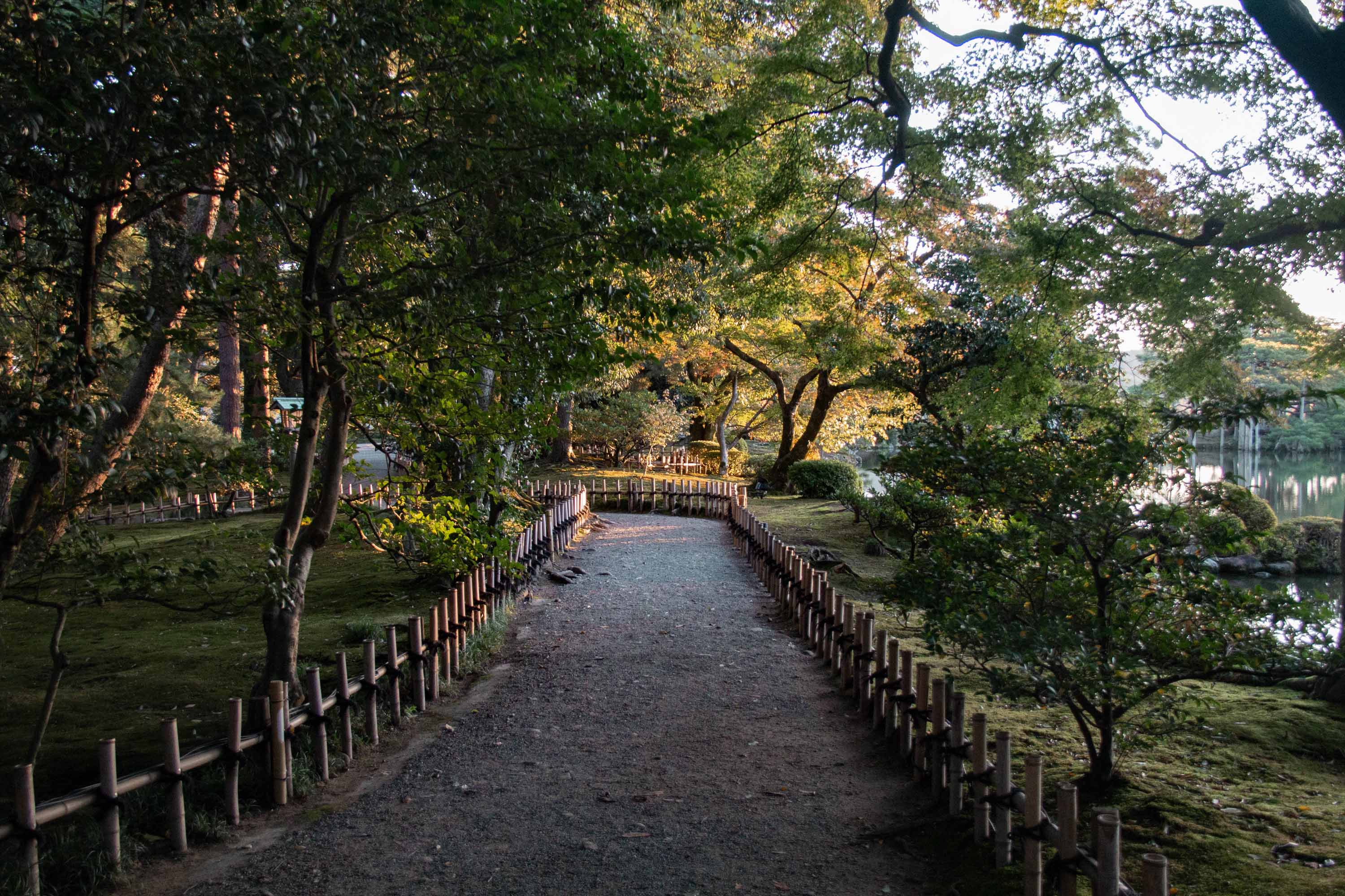 Description —— 2023