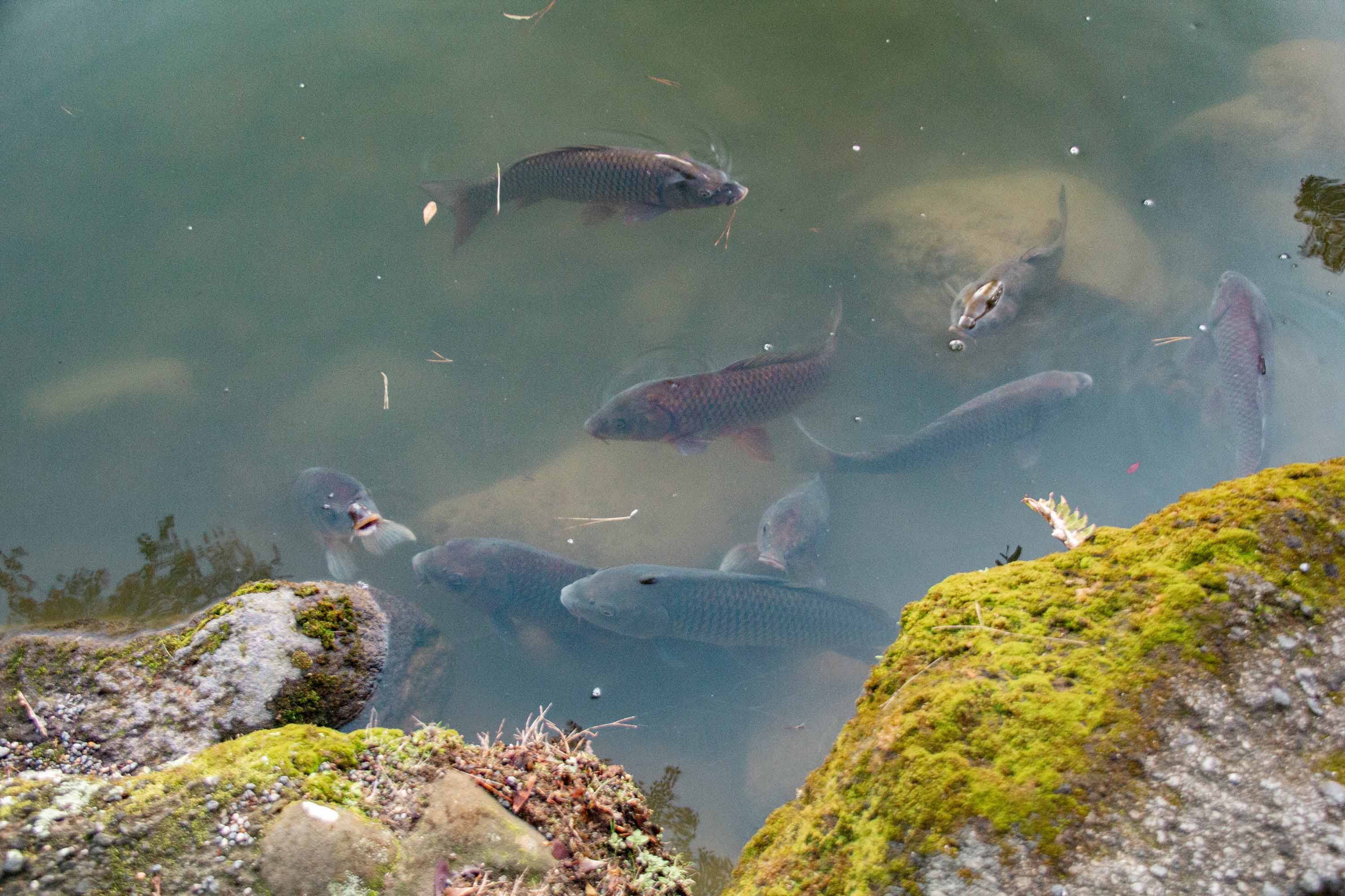 Description —— 2023