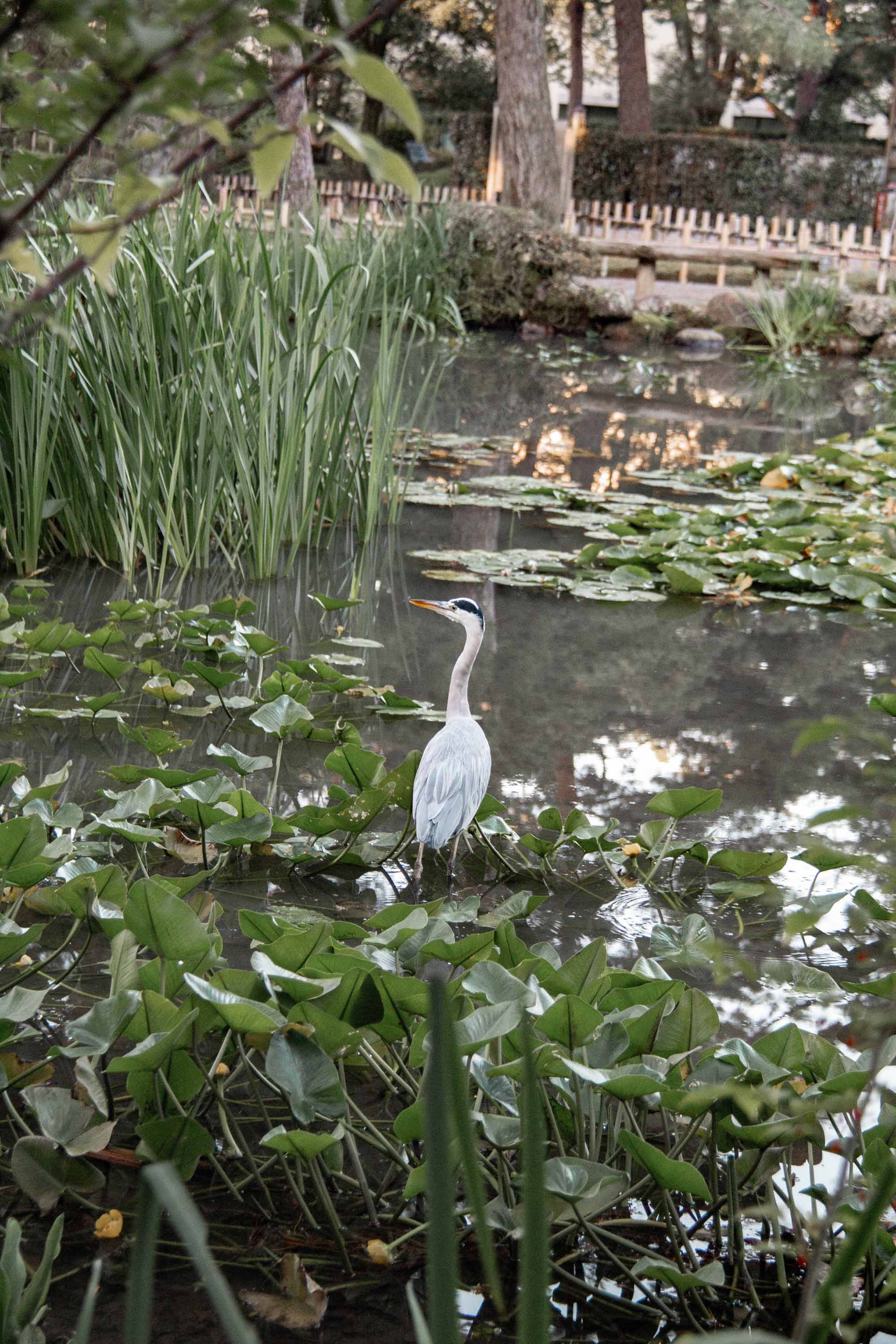 Description —— 2023