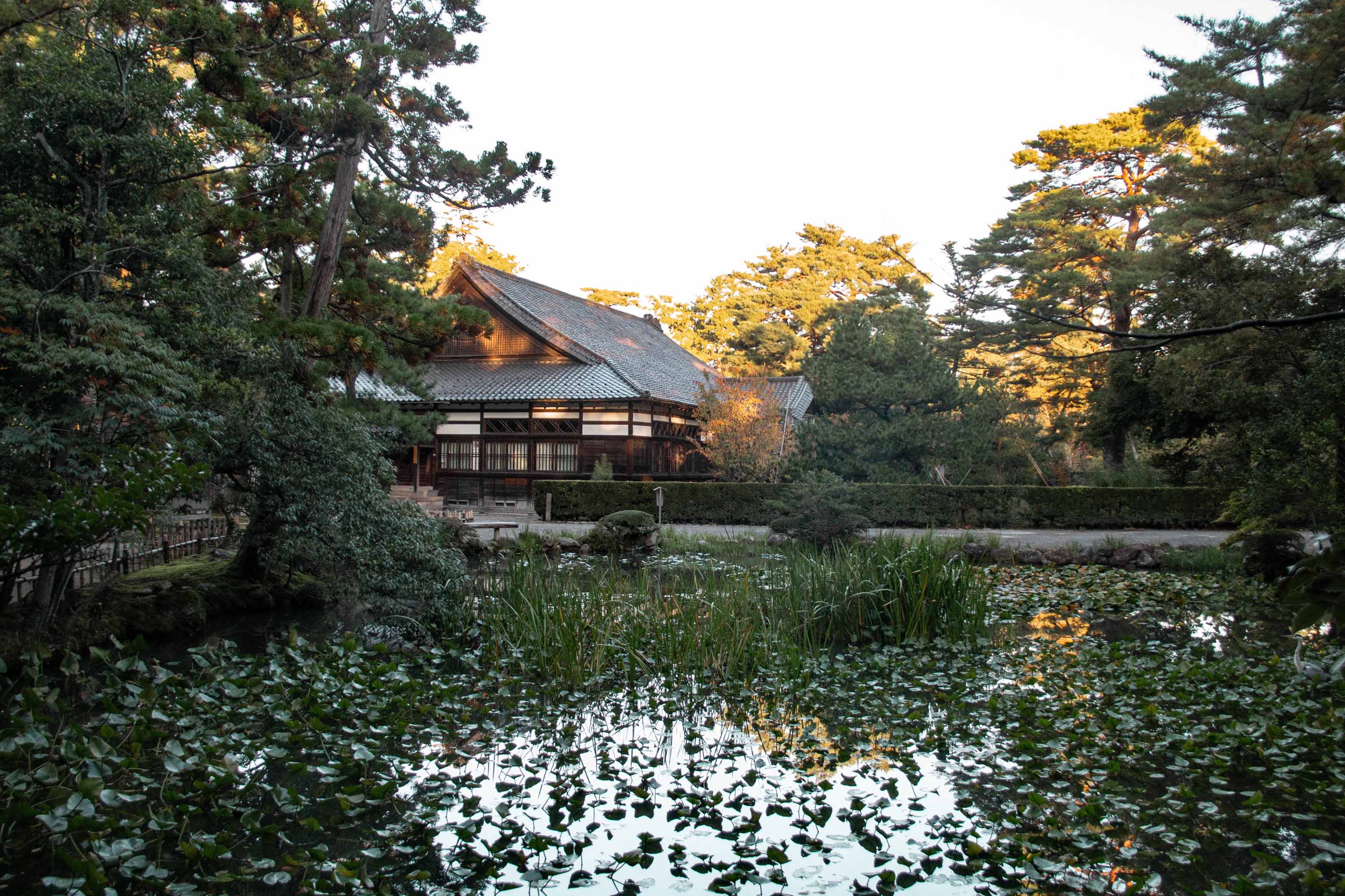 Description —— 2023