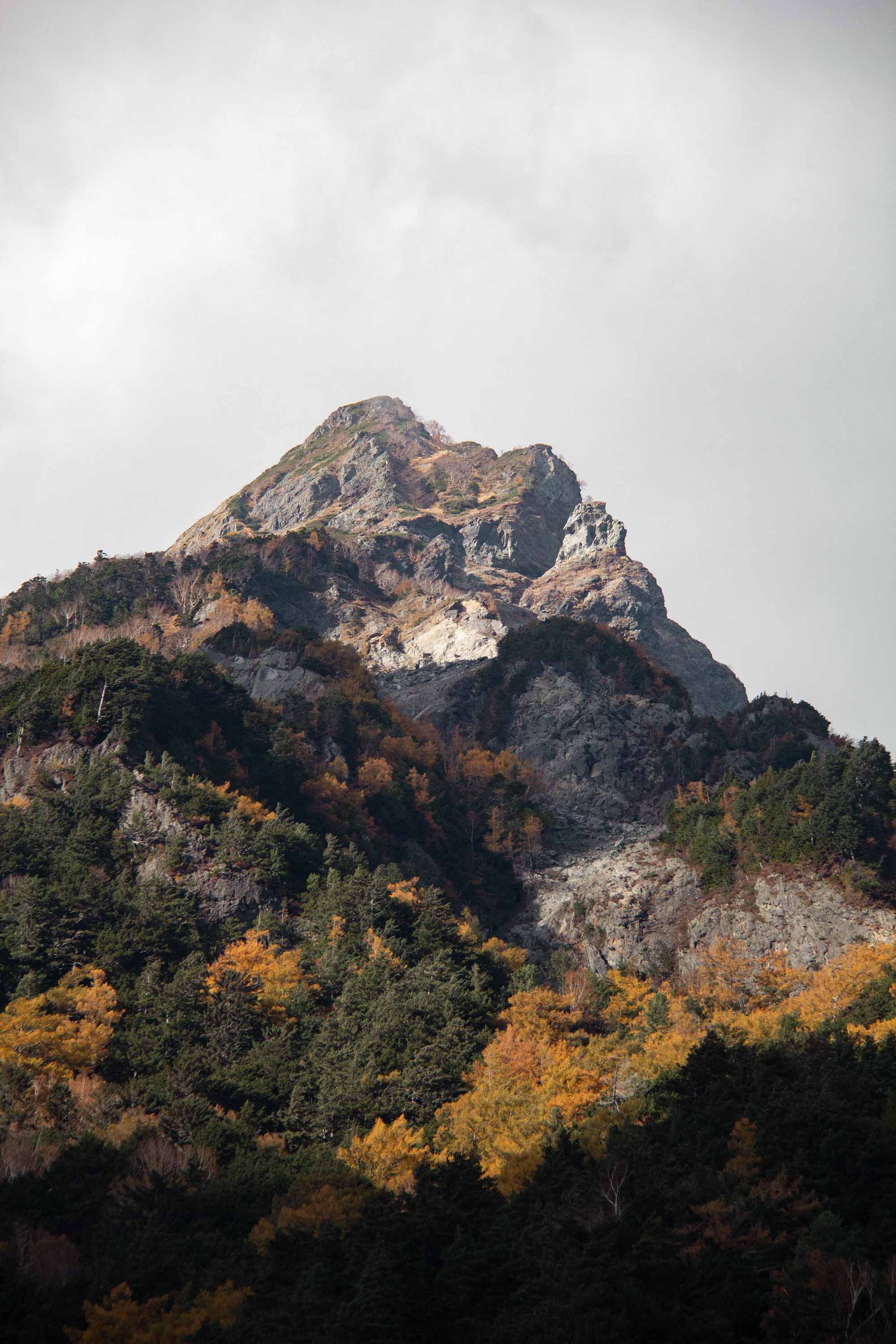 Description —— 2023