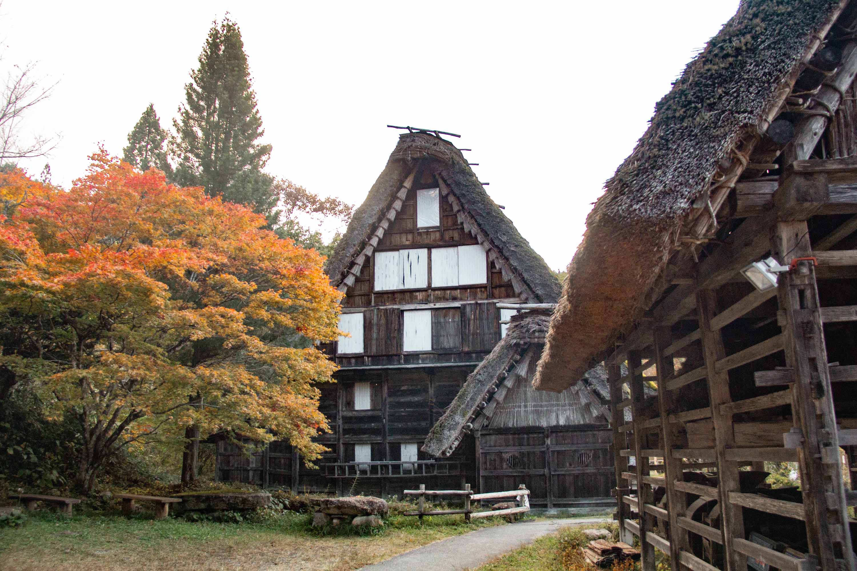 Description —— 2023