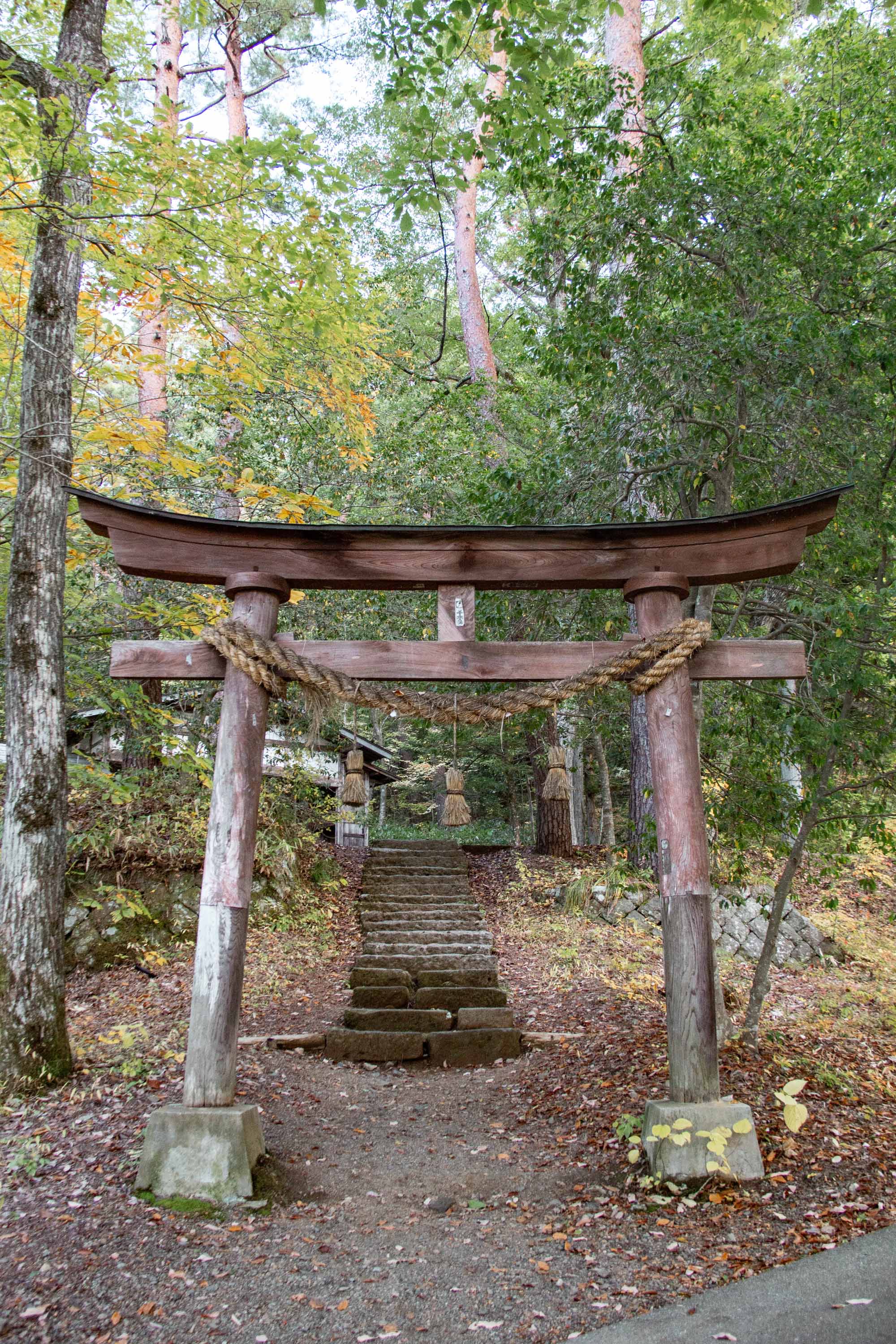 Description —— 2023