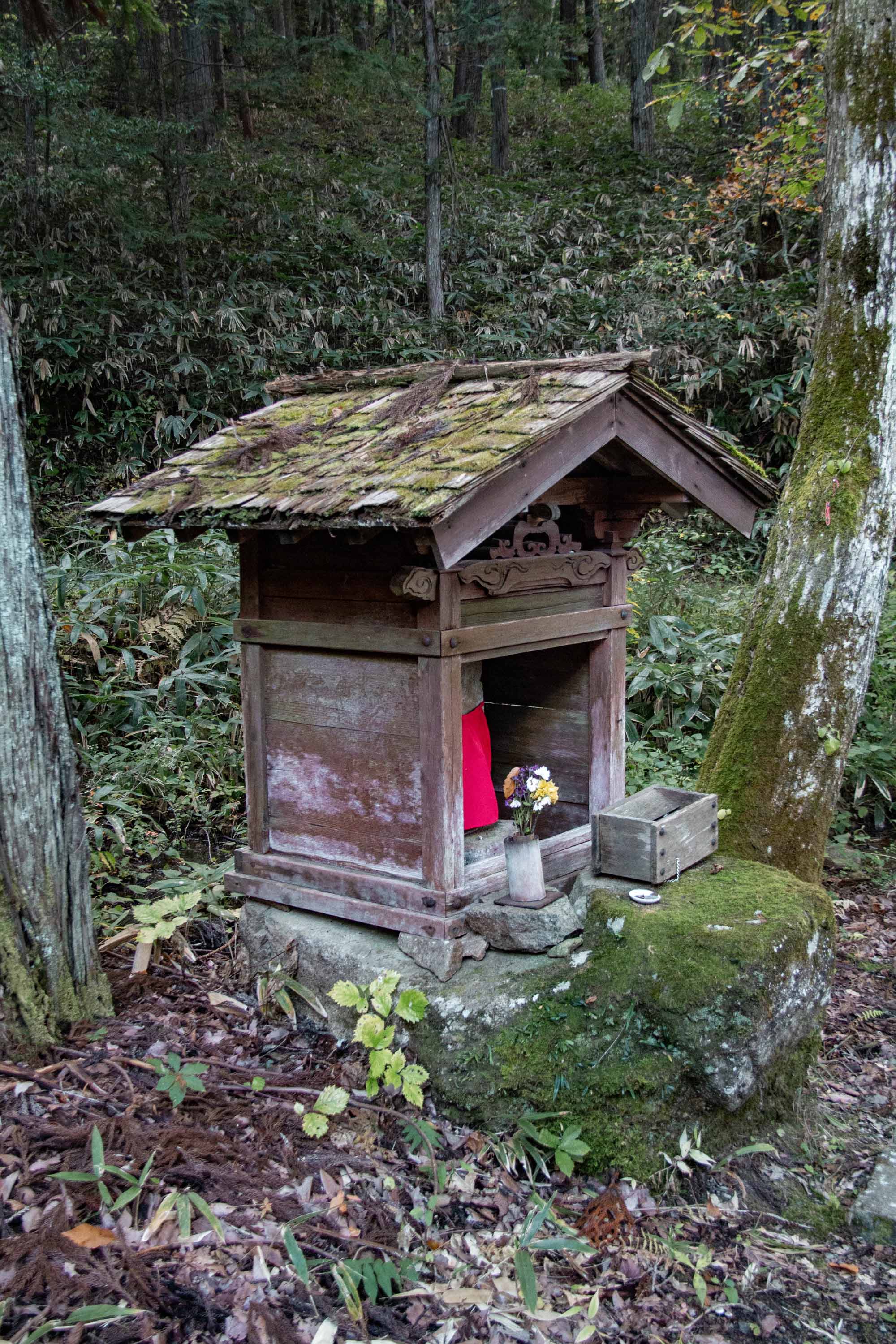 Description —— 2023