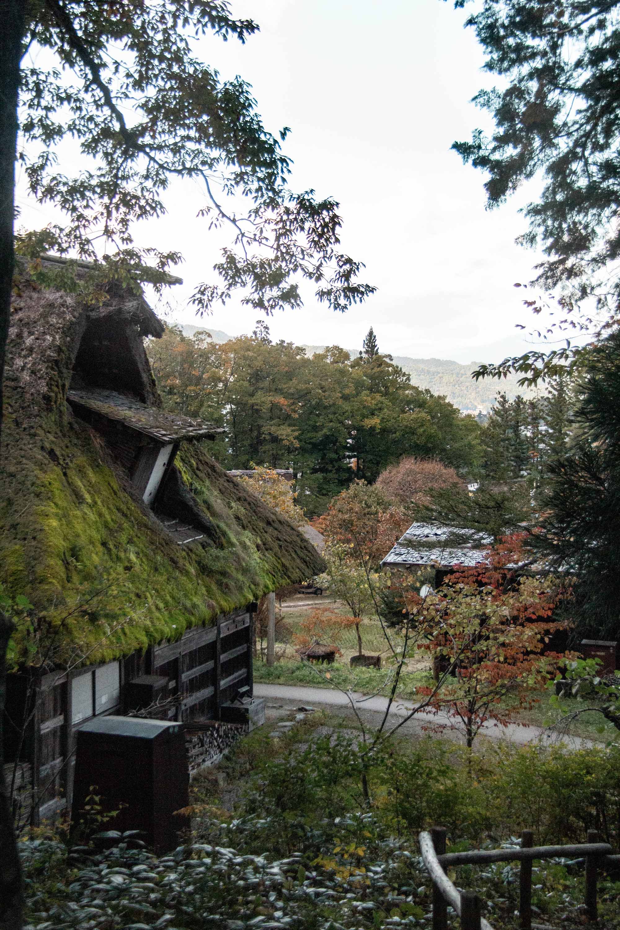 Description —— 2023