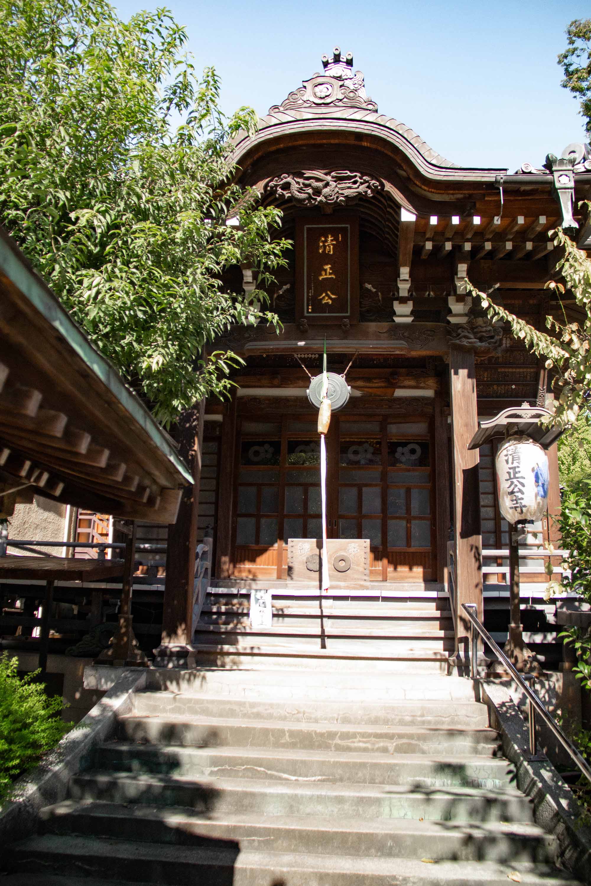 Hamacho Park —— 2023