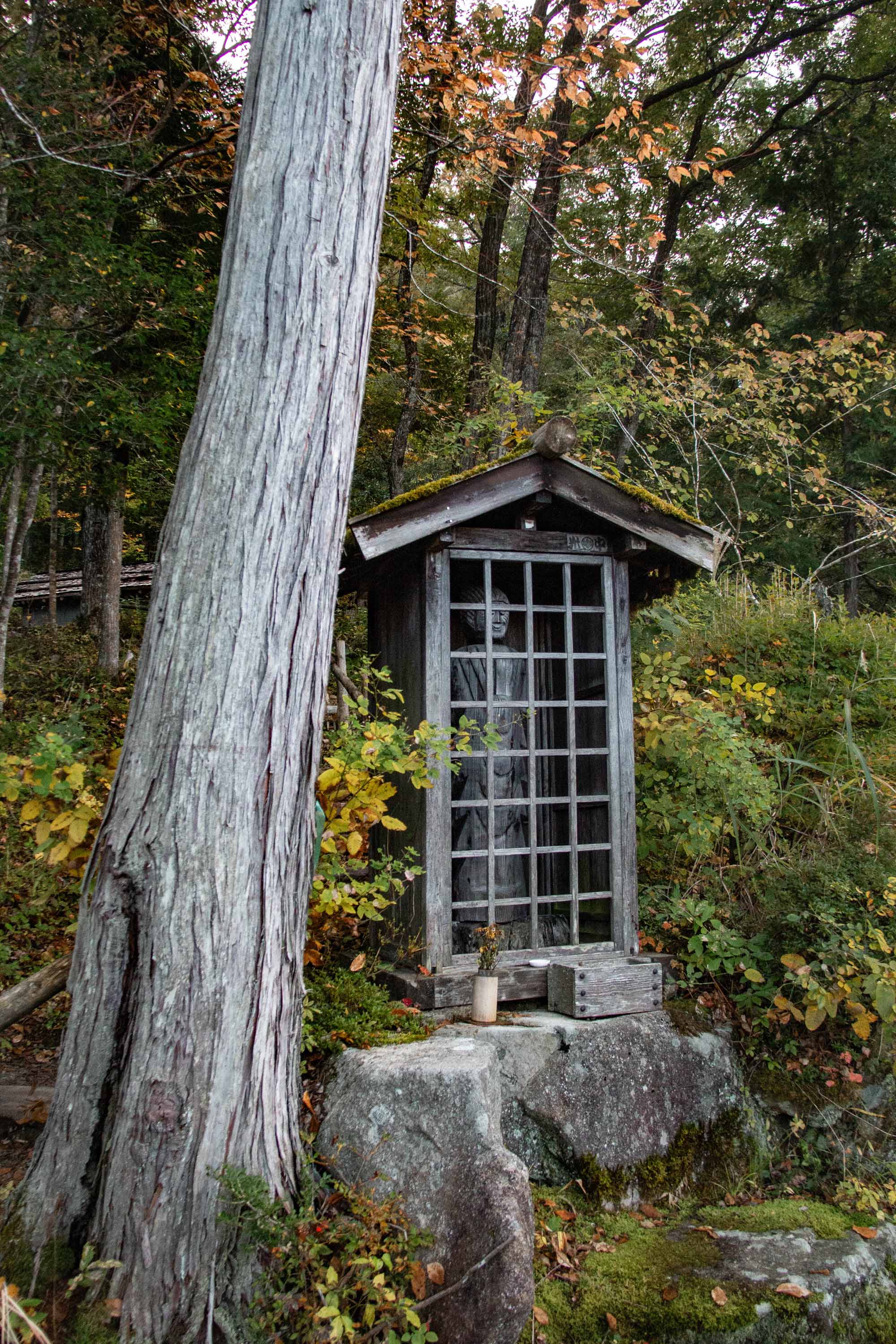 Description —— 2023