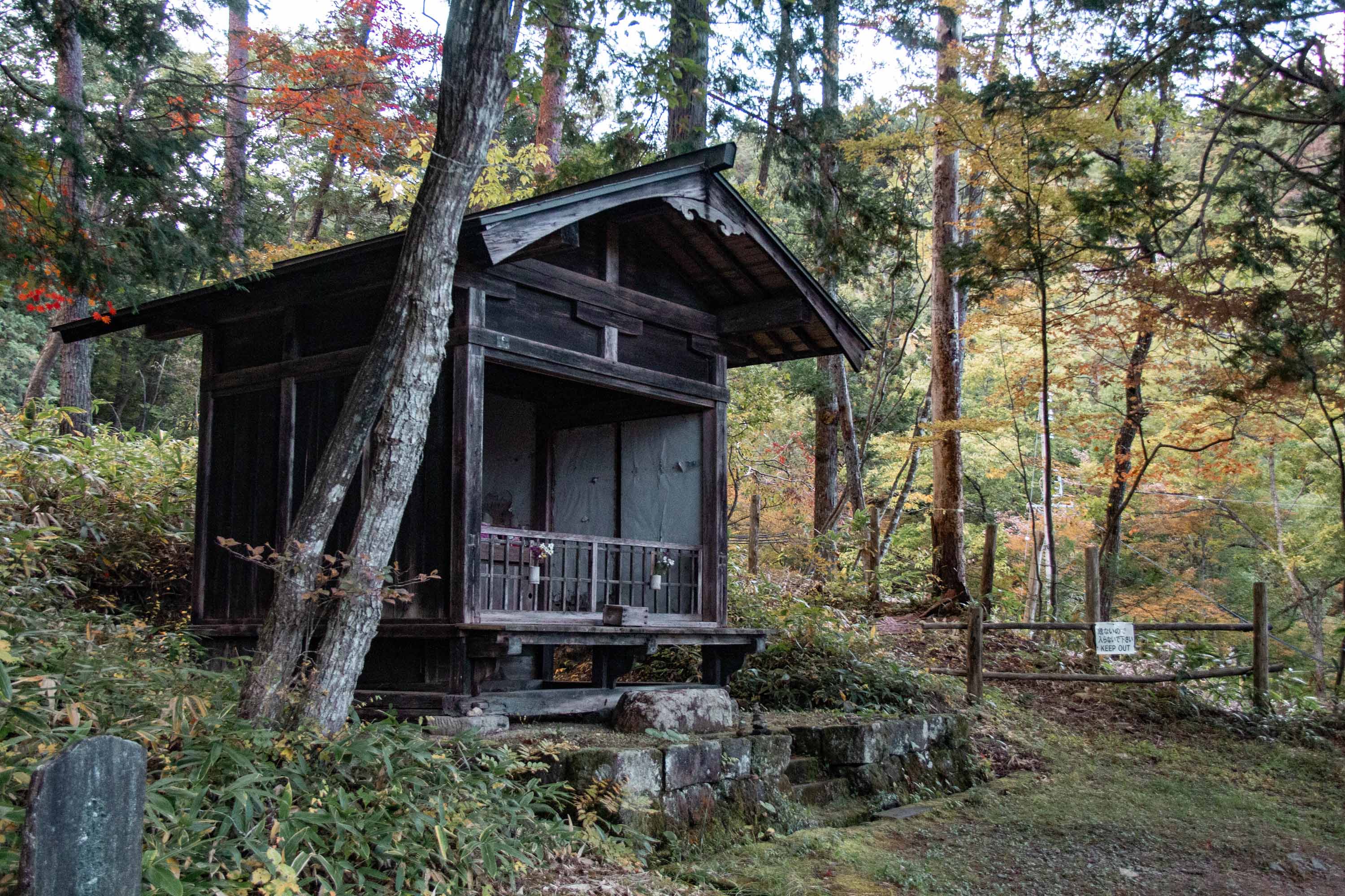 Description —— 2023