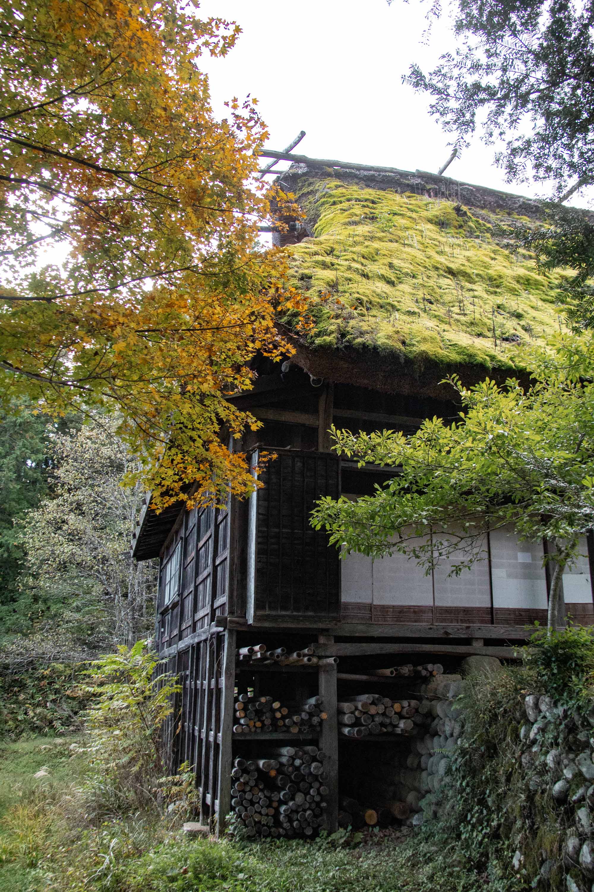 Description —— 2023