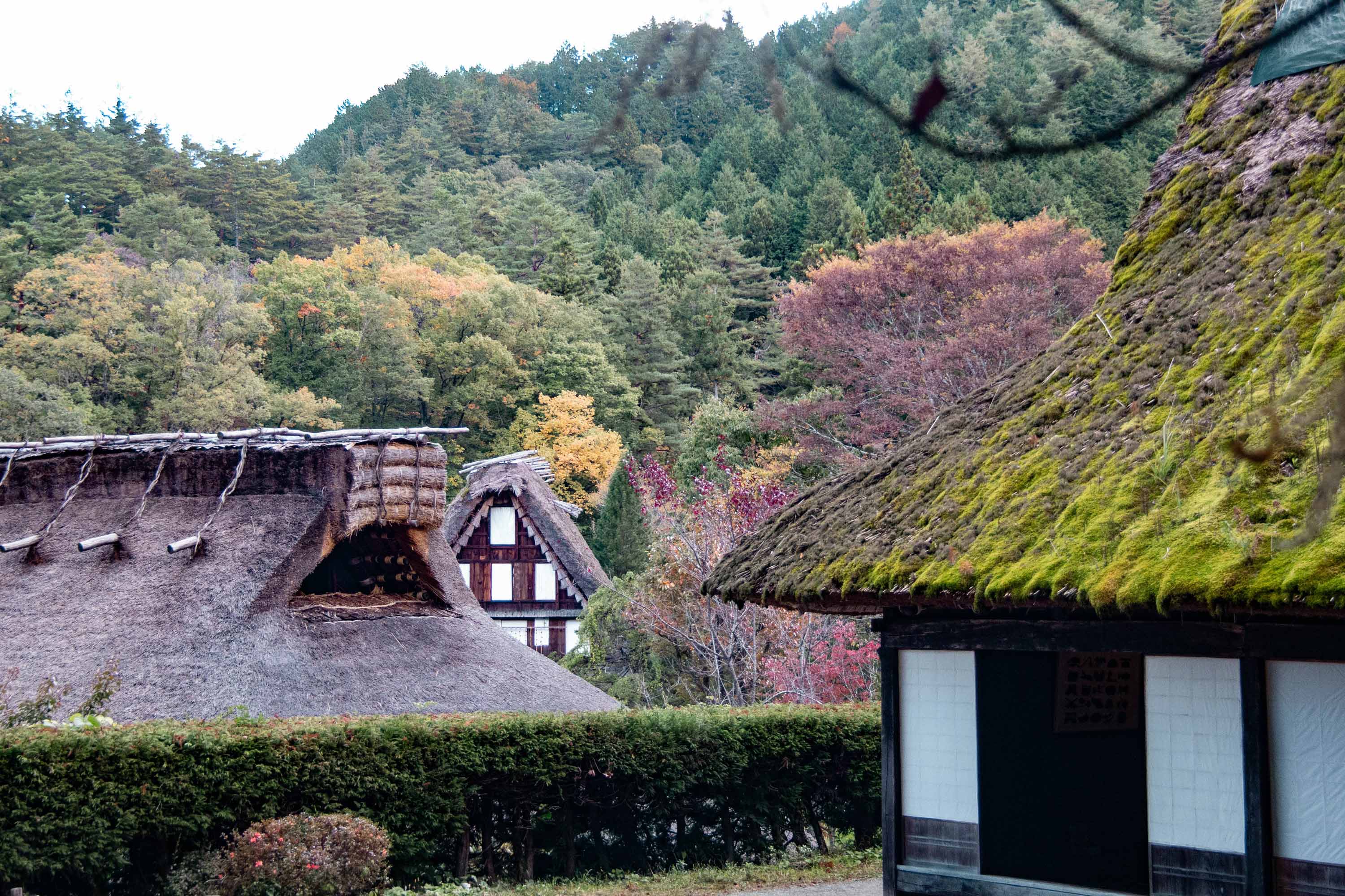 Description —— 2023