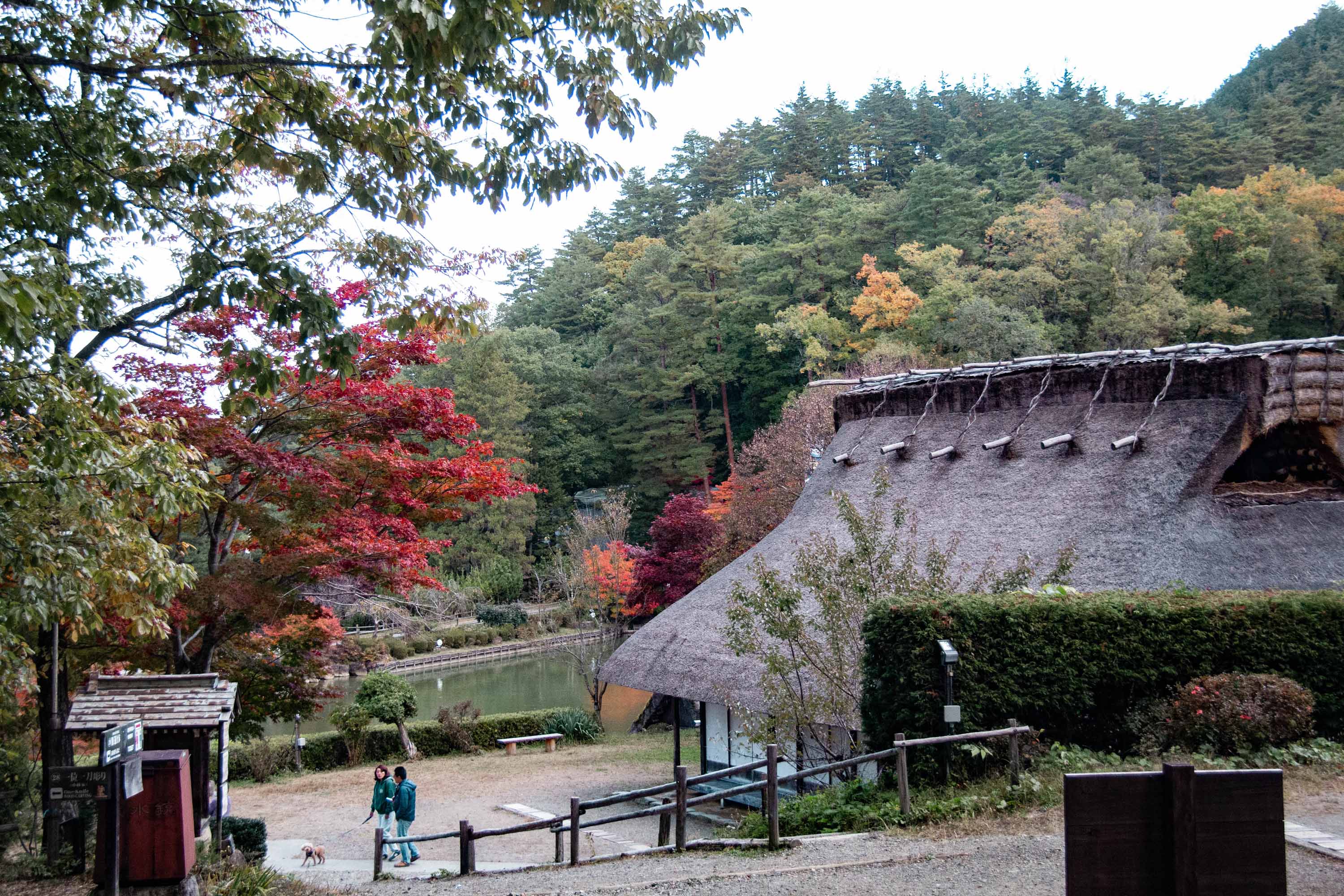 Description —— 2023